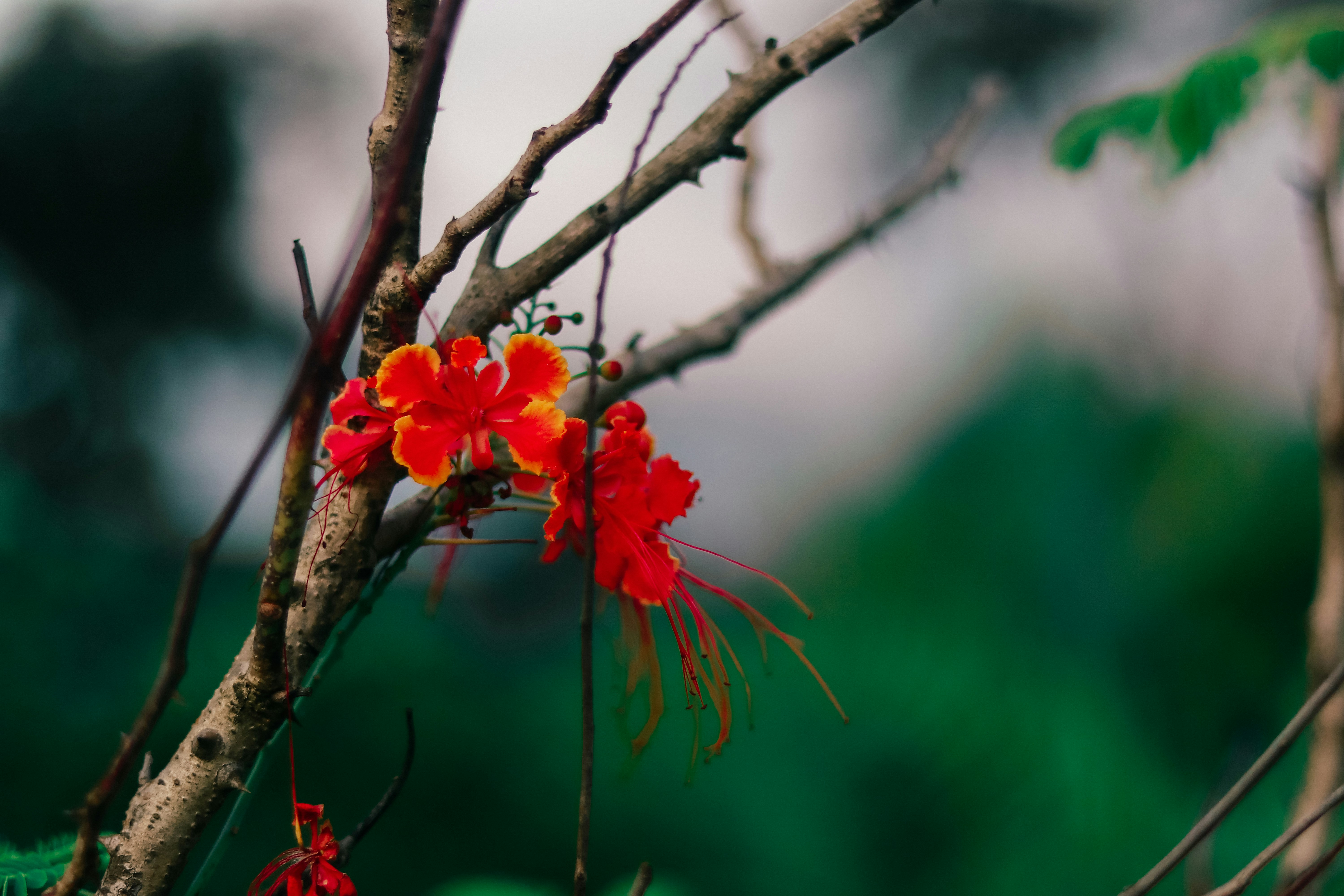 Photo by focuscamphotographer