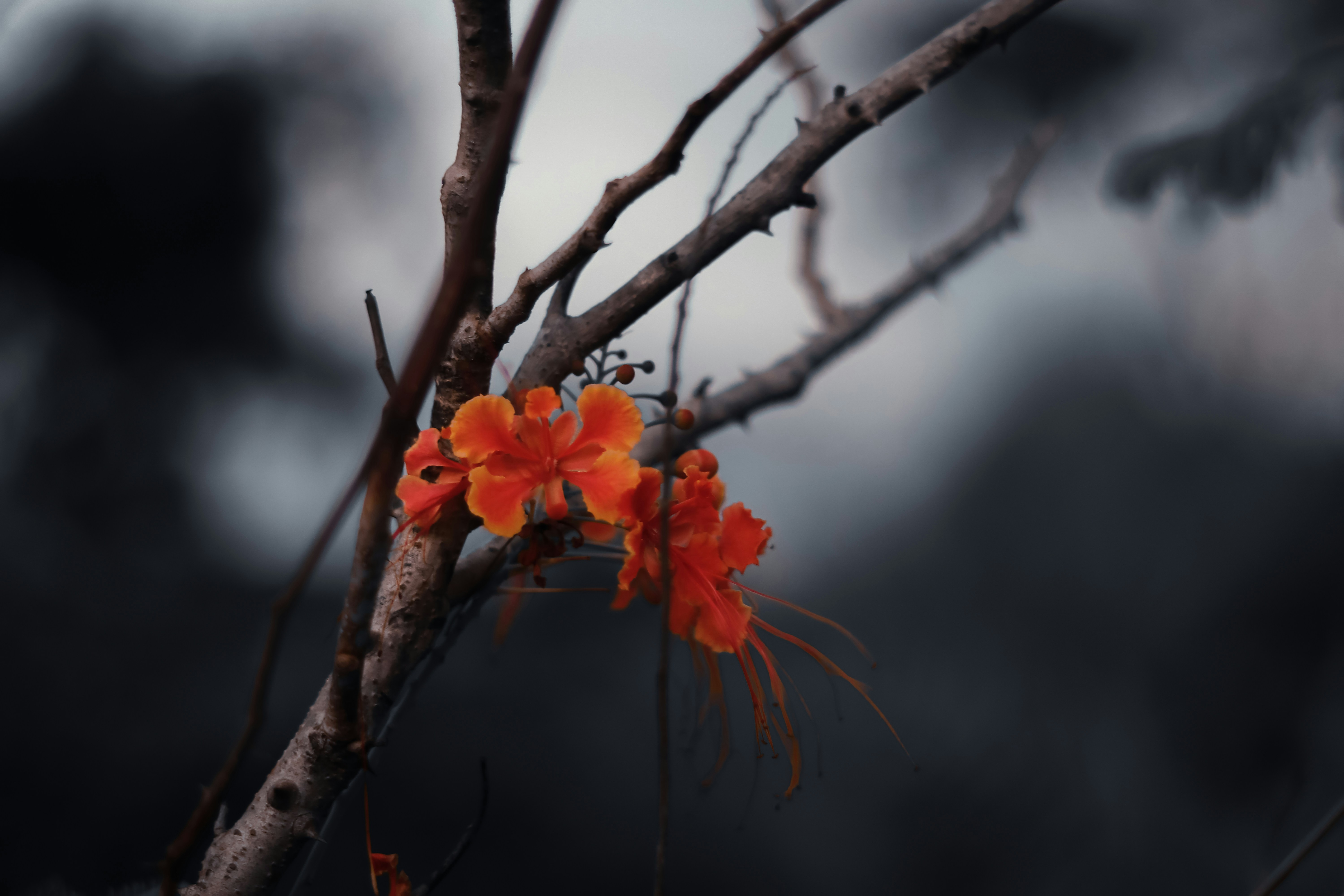 Photo by focuscamphotographer