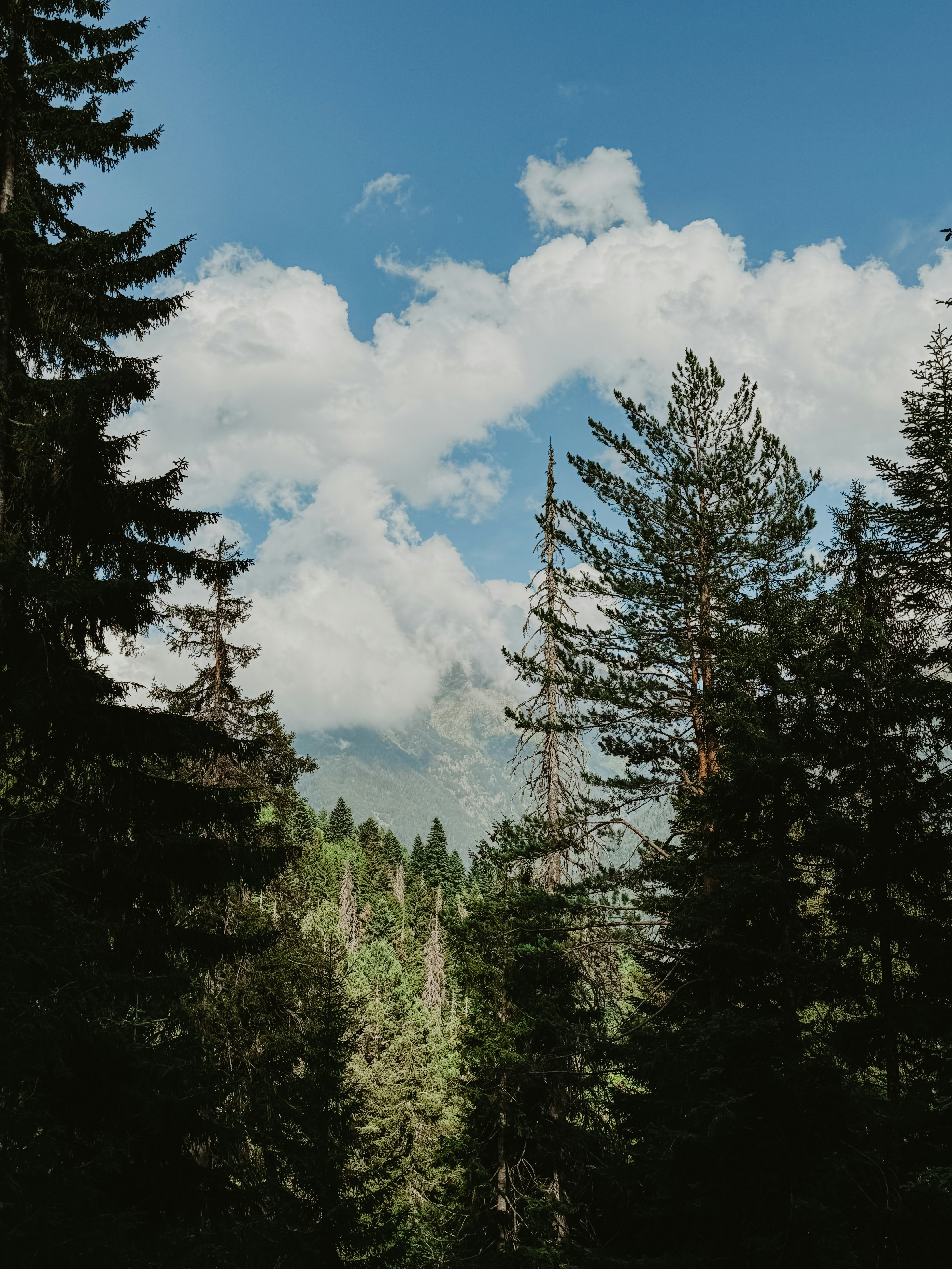 Photo by iamkrisssssss