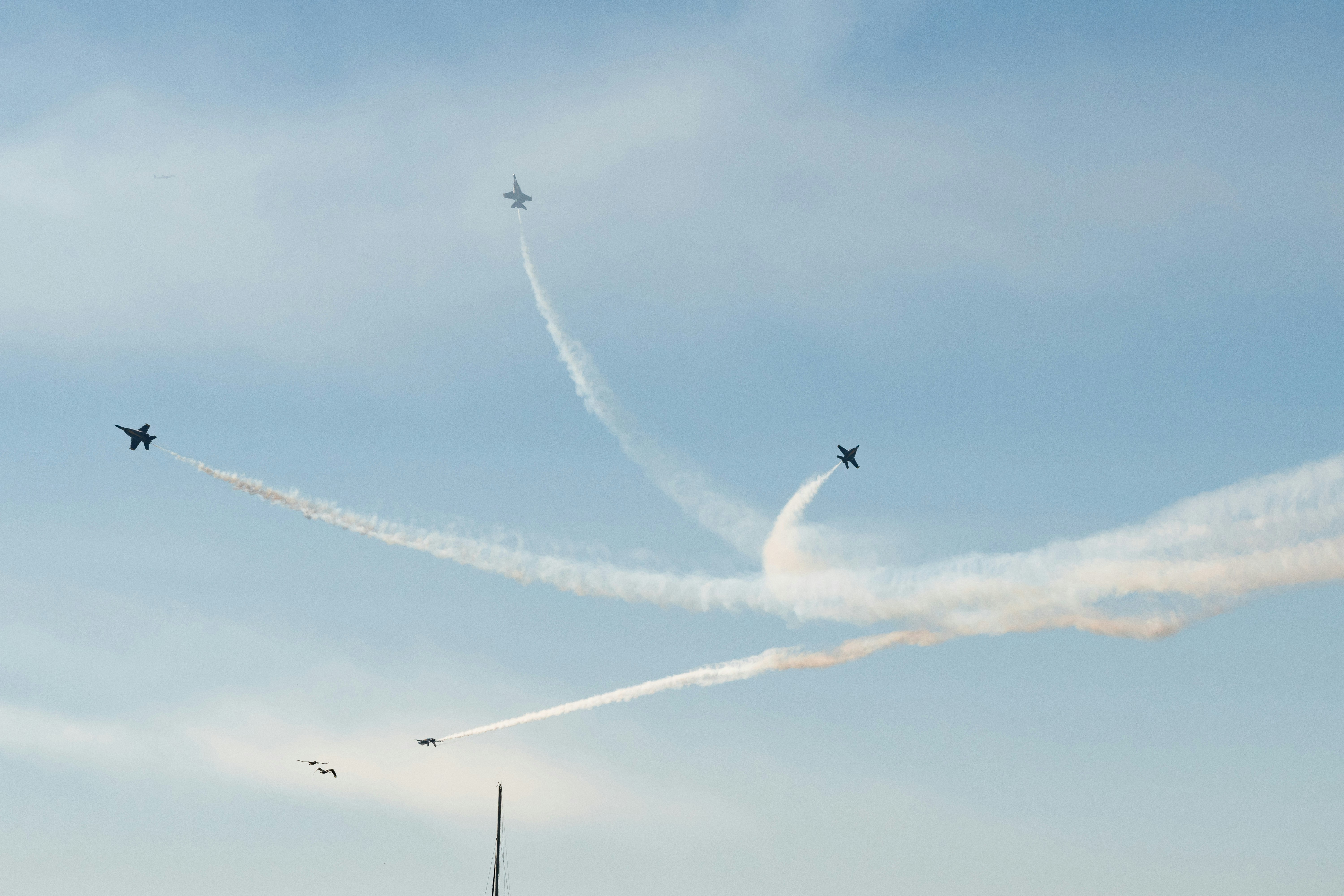 Photo by sebbo_photography