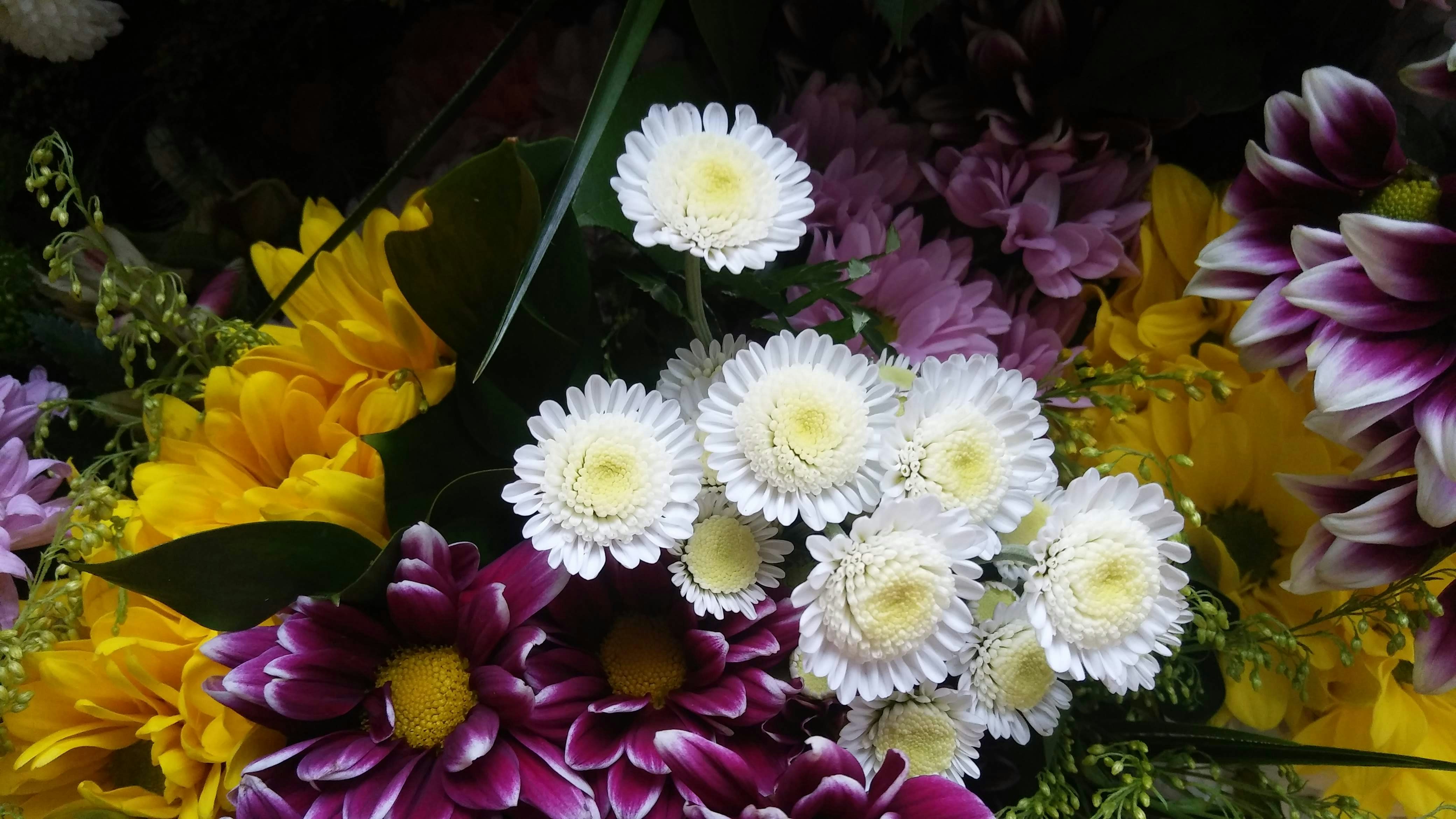 Photo by analanguagecoach