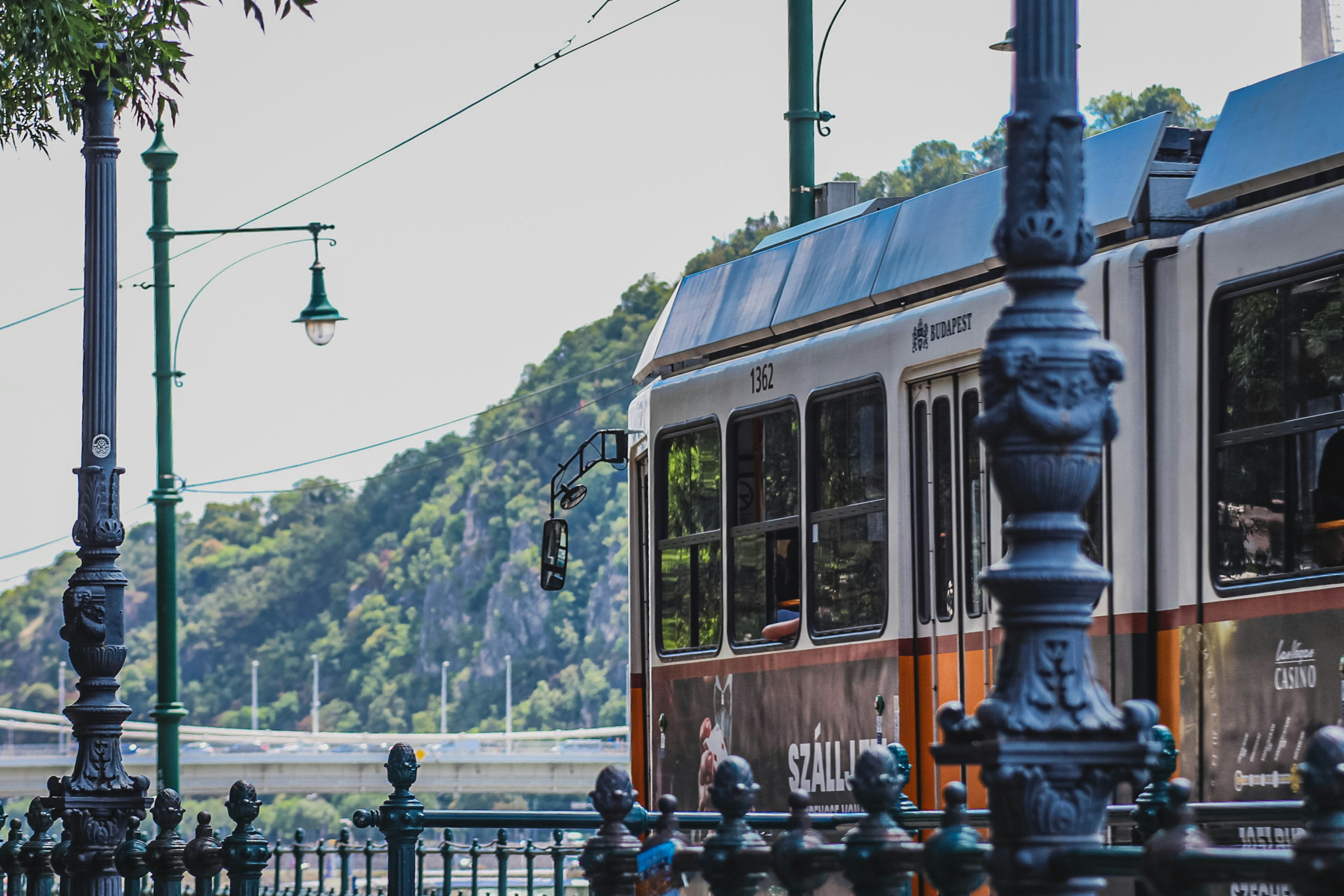 Photo by luisa_wachsmuth