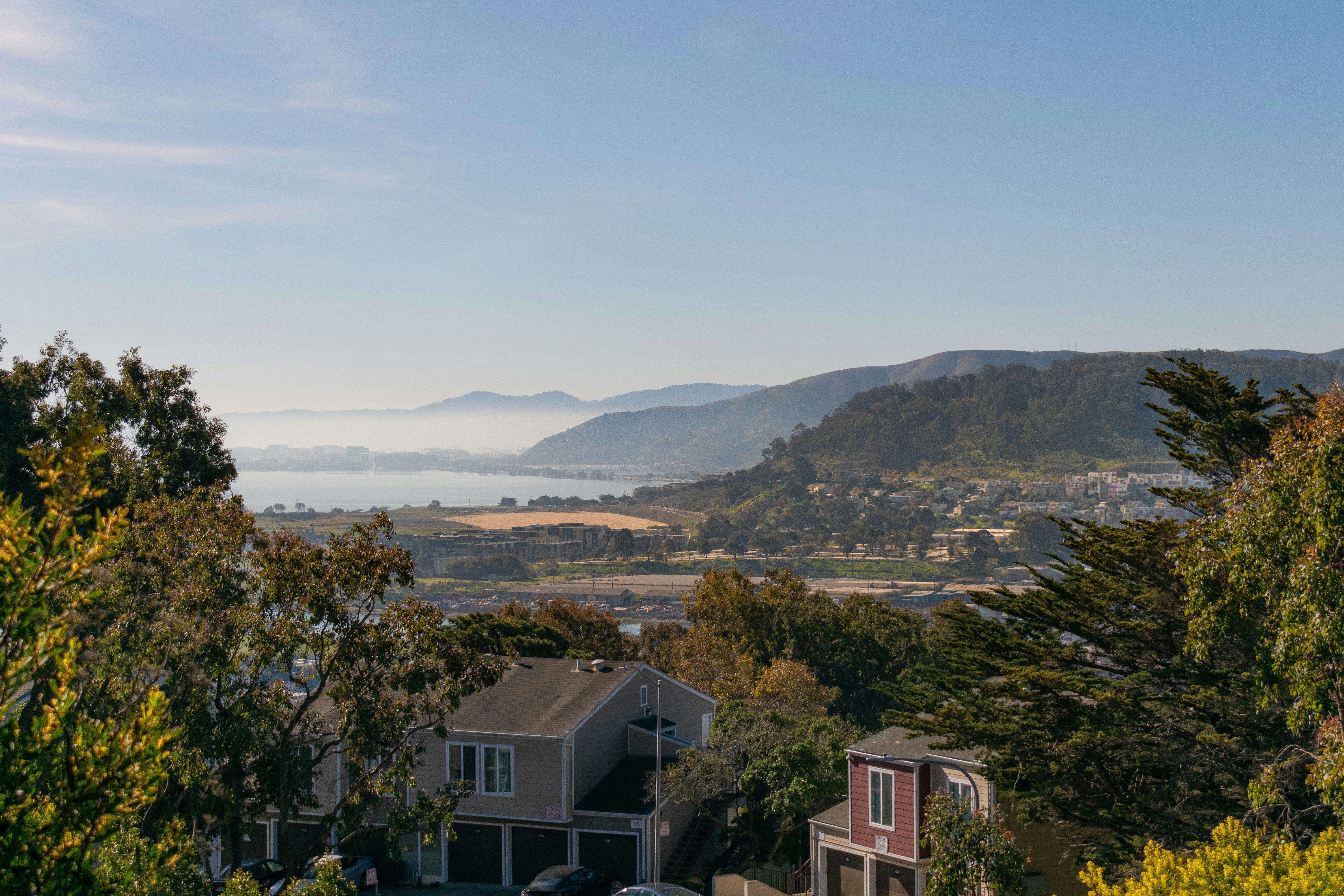 Houses nestled among trees with a bay view.