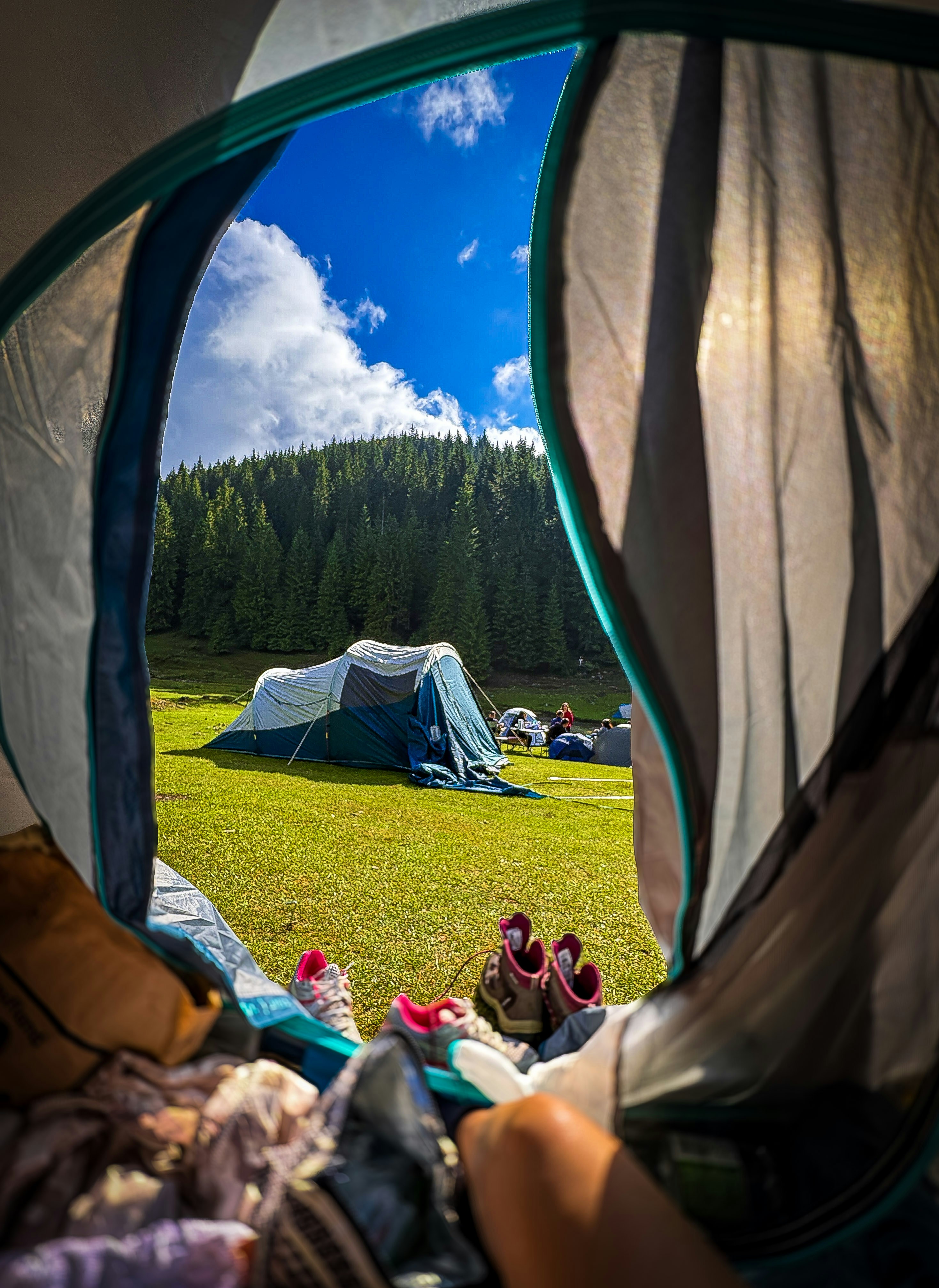 photo-1755976904380-d5833fc8328d?ixid=M3