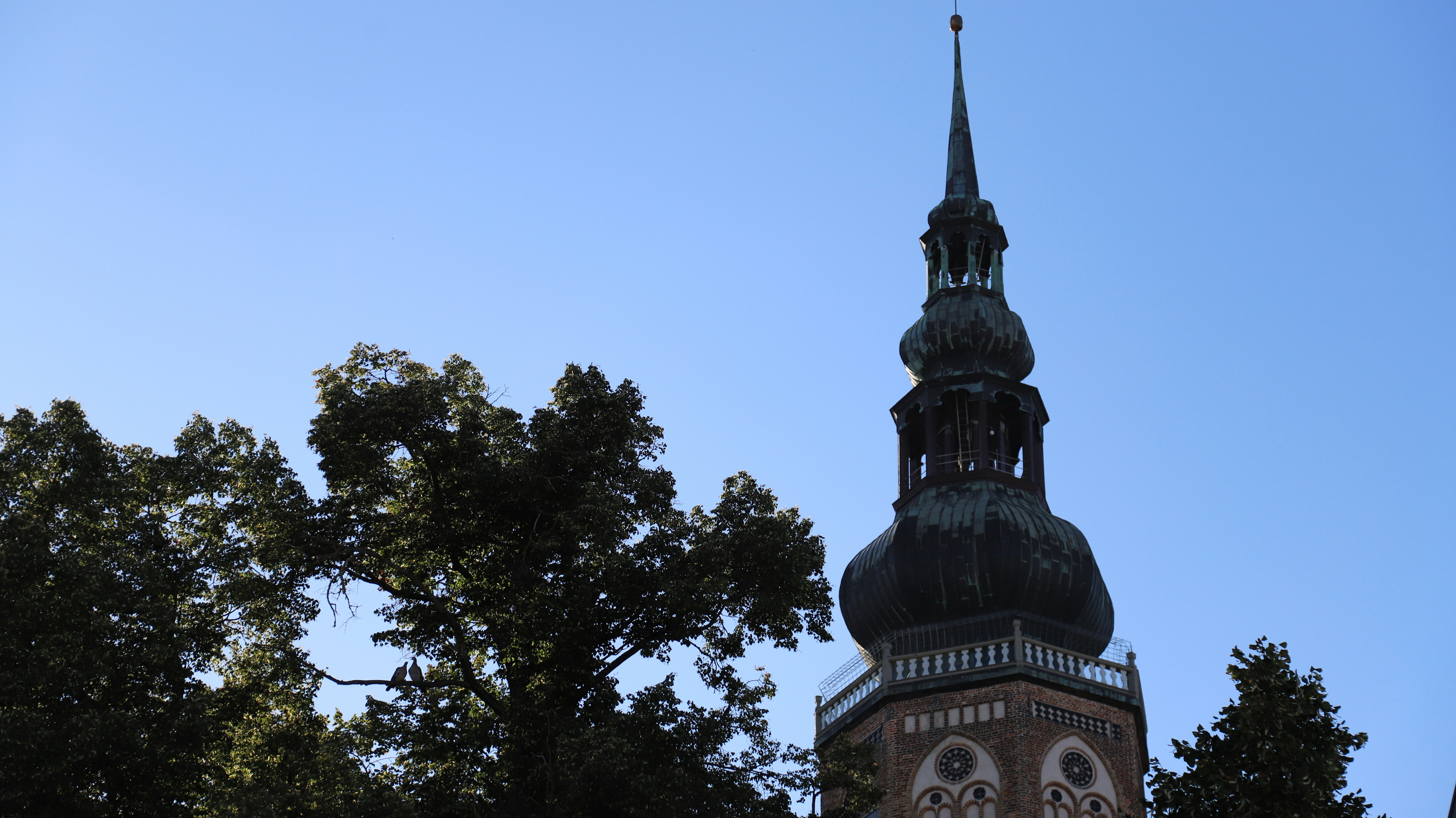 Photo by paul_fingerhut