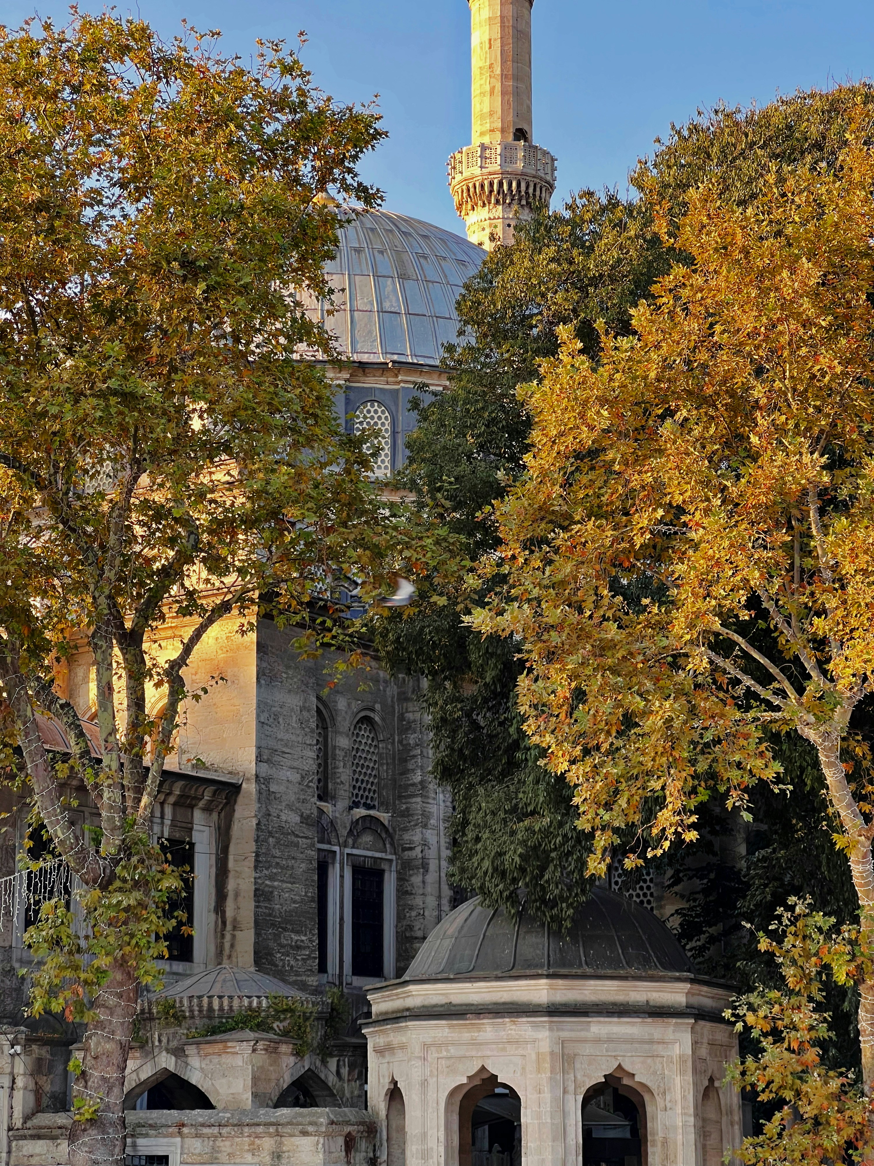 Photo by shaimaaasami