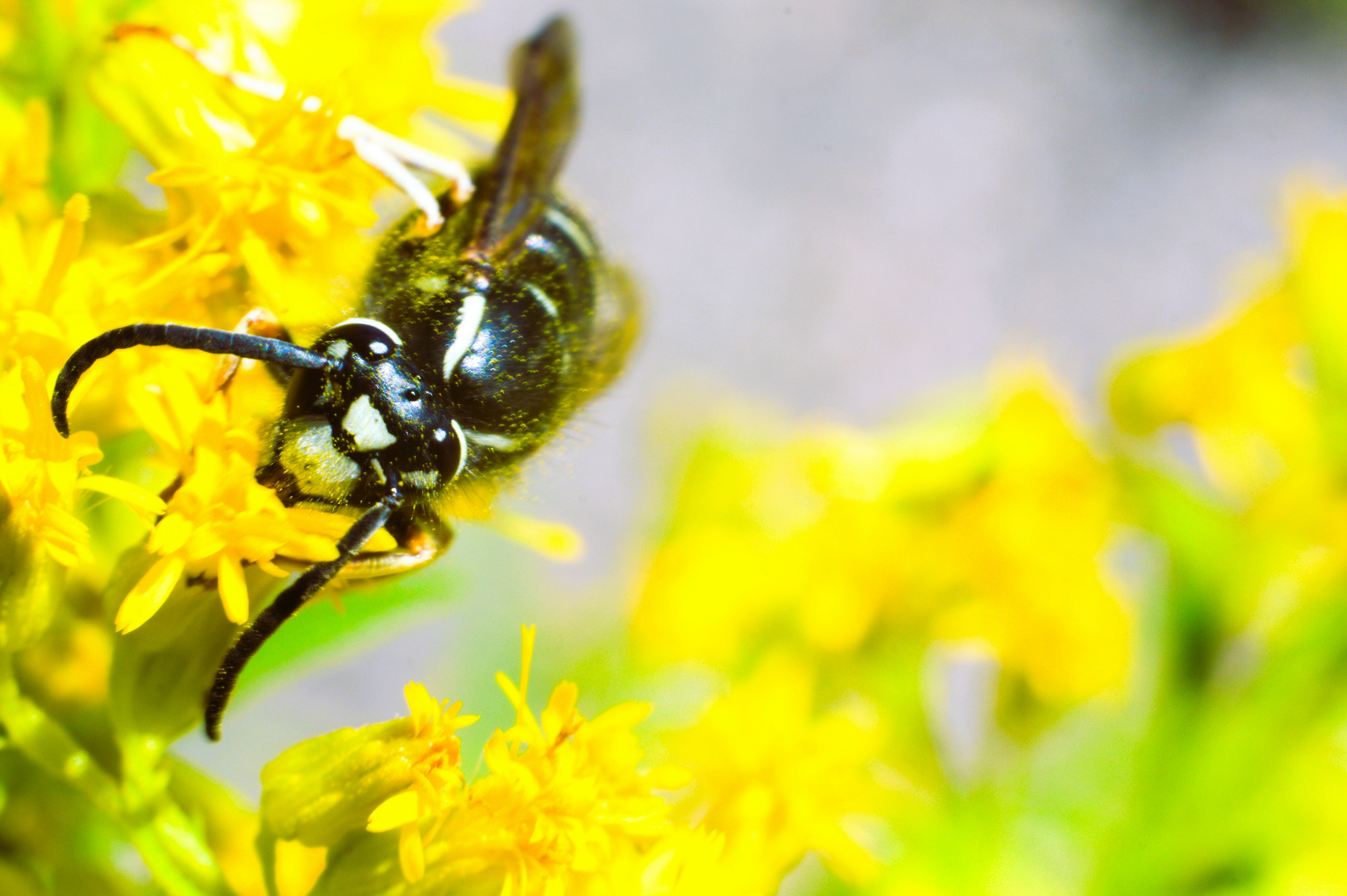 Photo by richardrivas