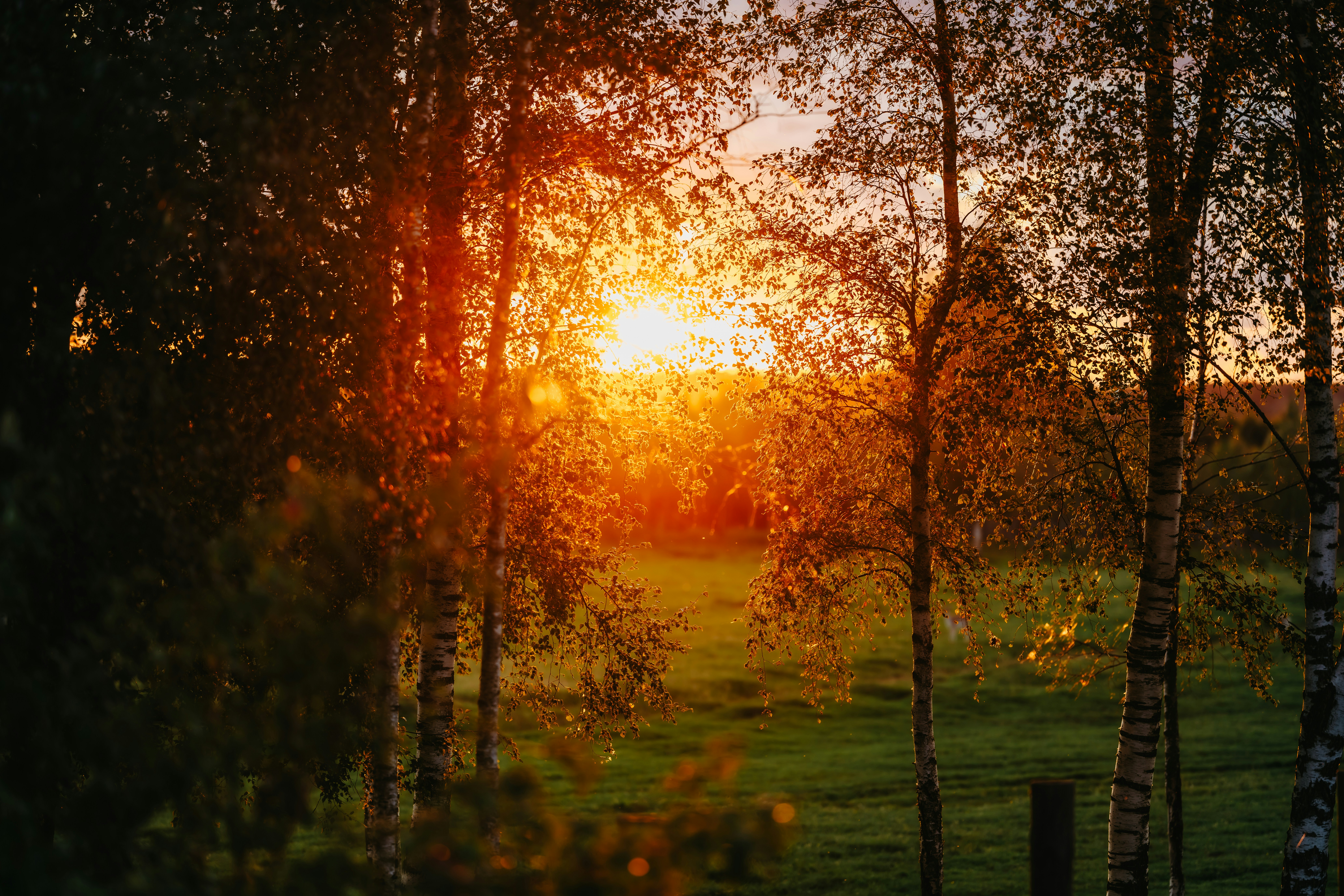 Photo by kristapsungurs