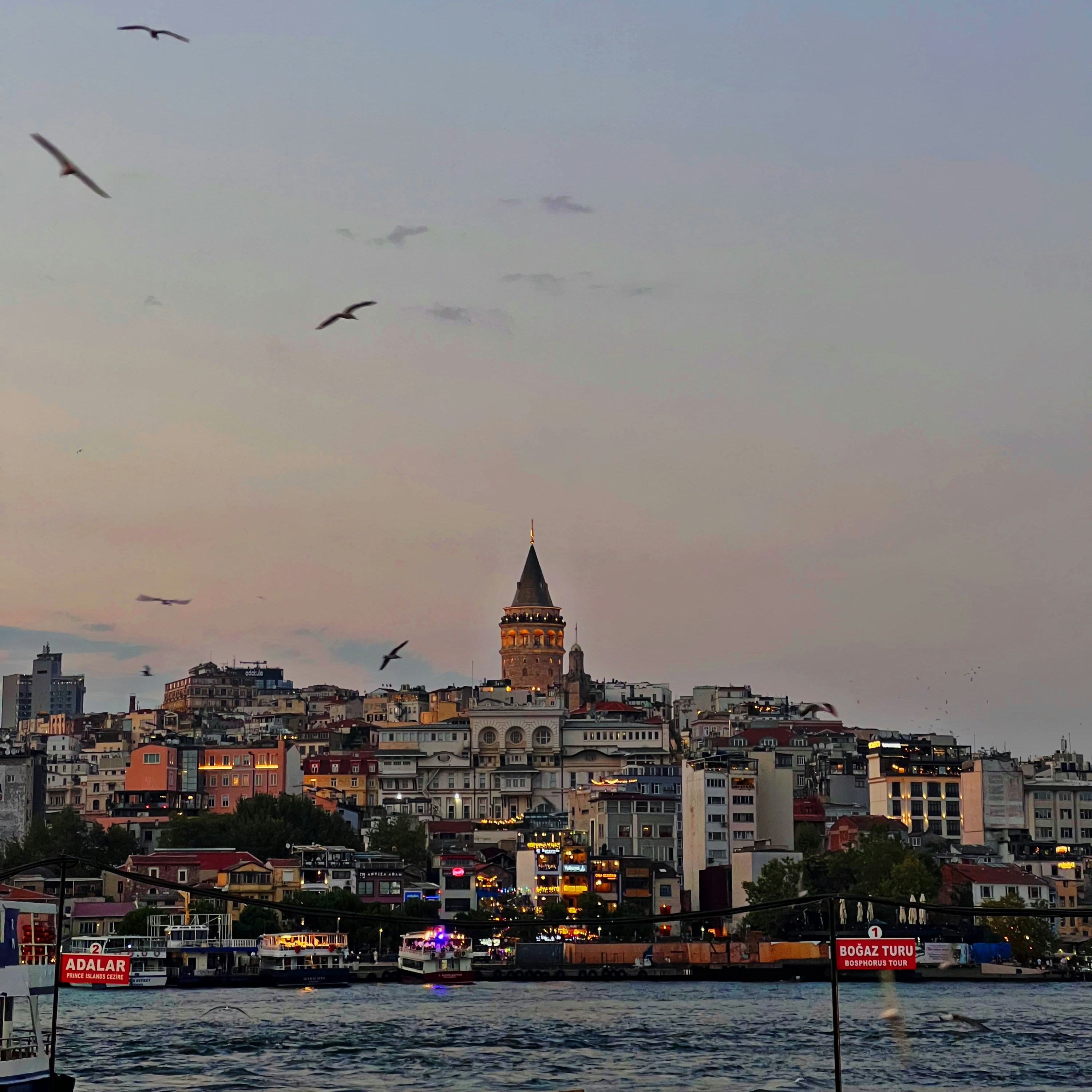 Photo by shaimaaasami