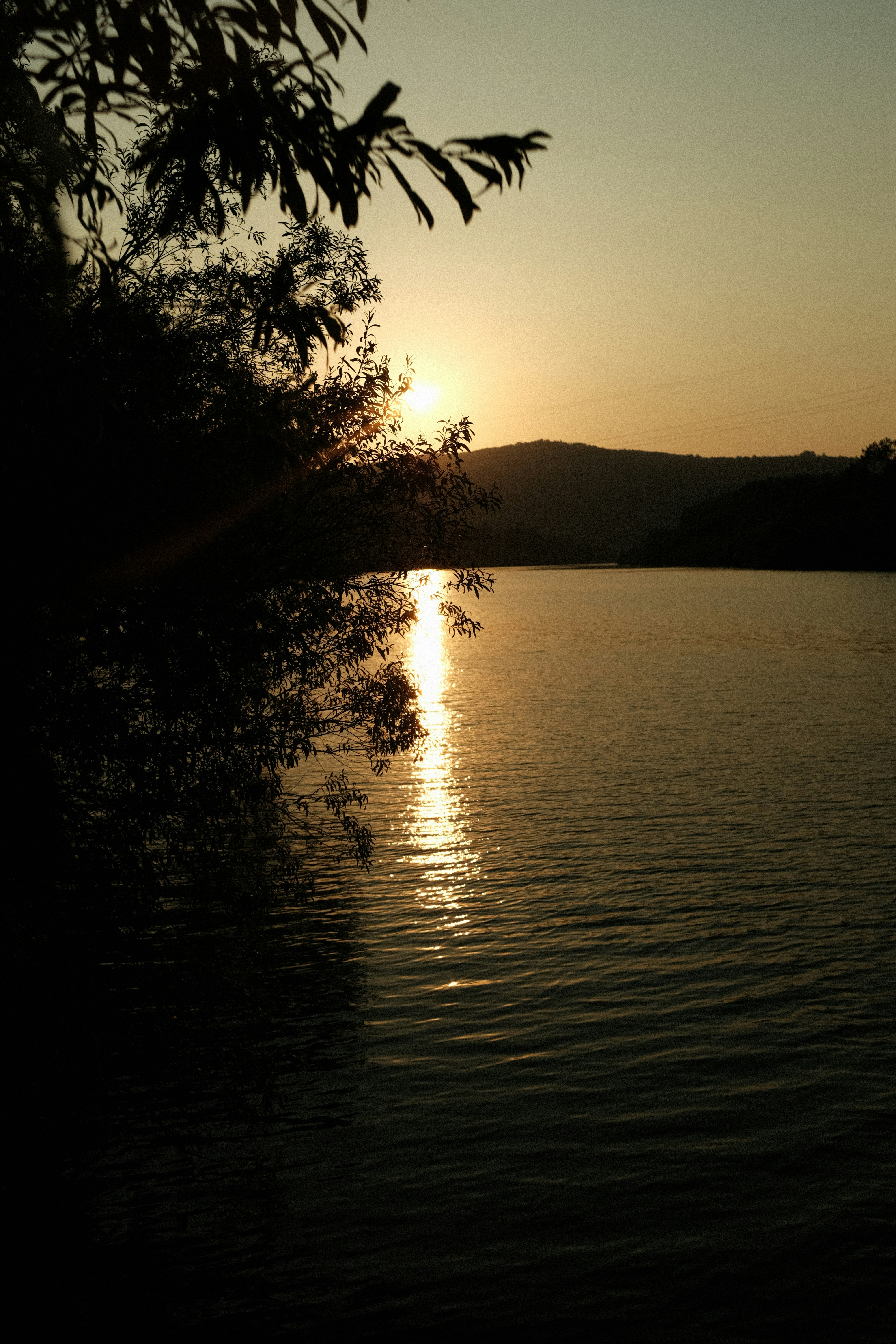 Photo by aperturevintage