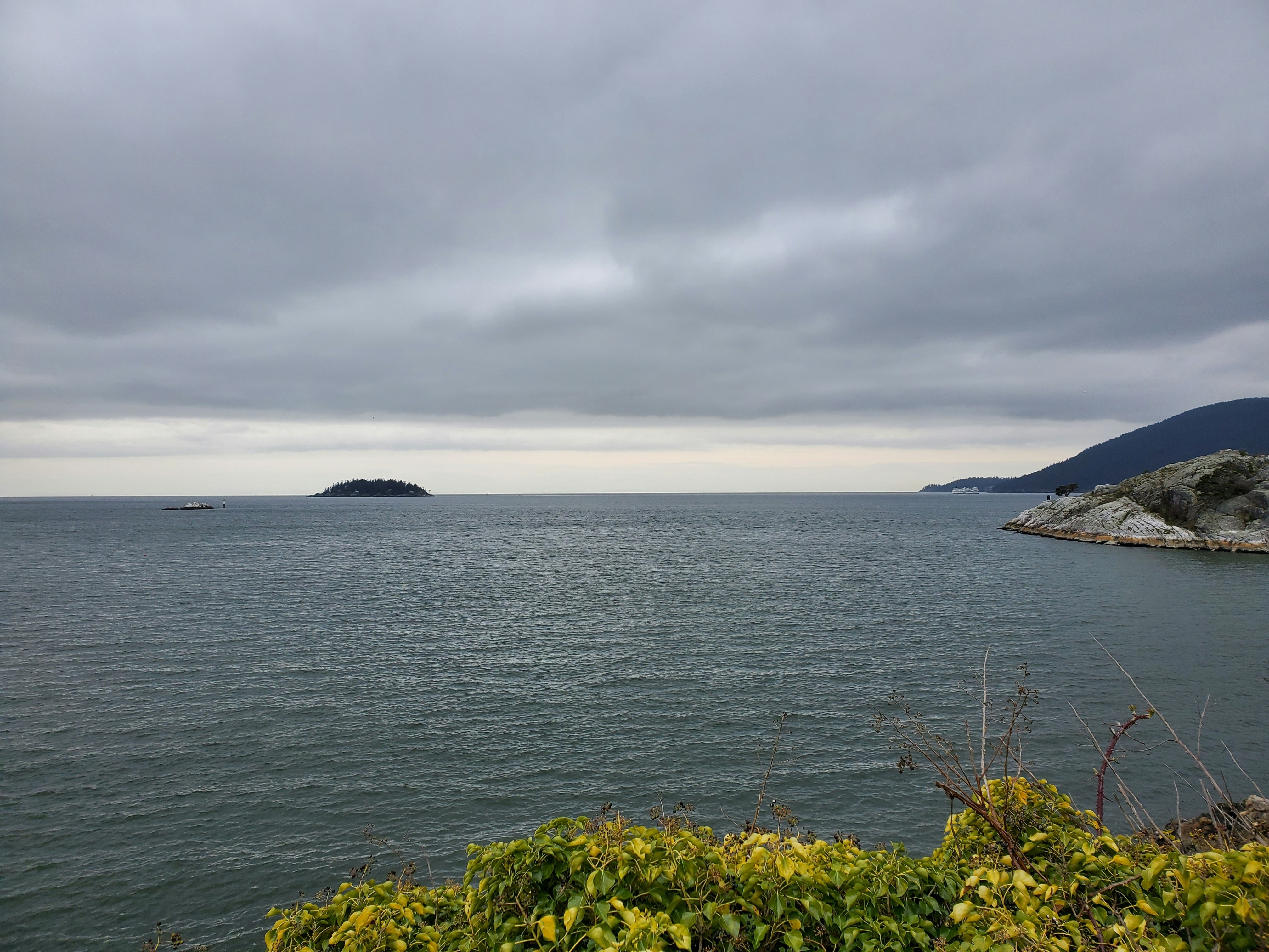 Photo by tessaherondalecarstairs