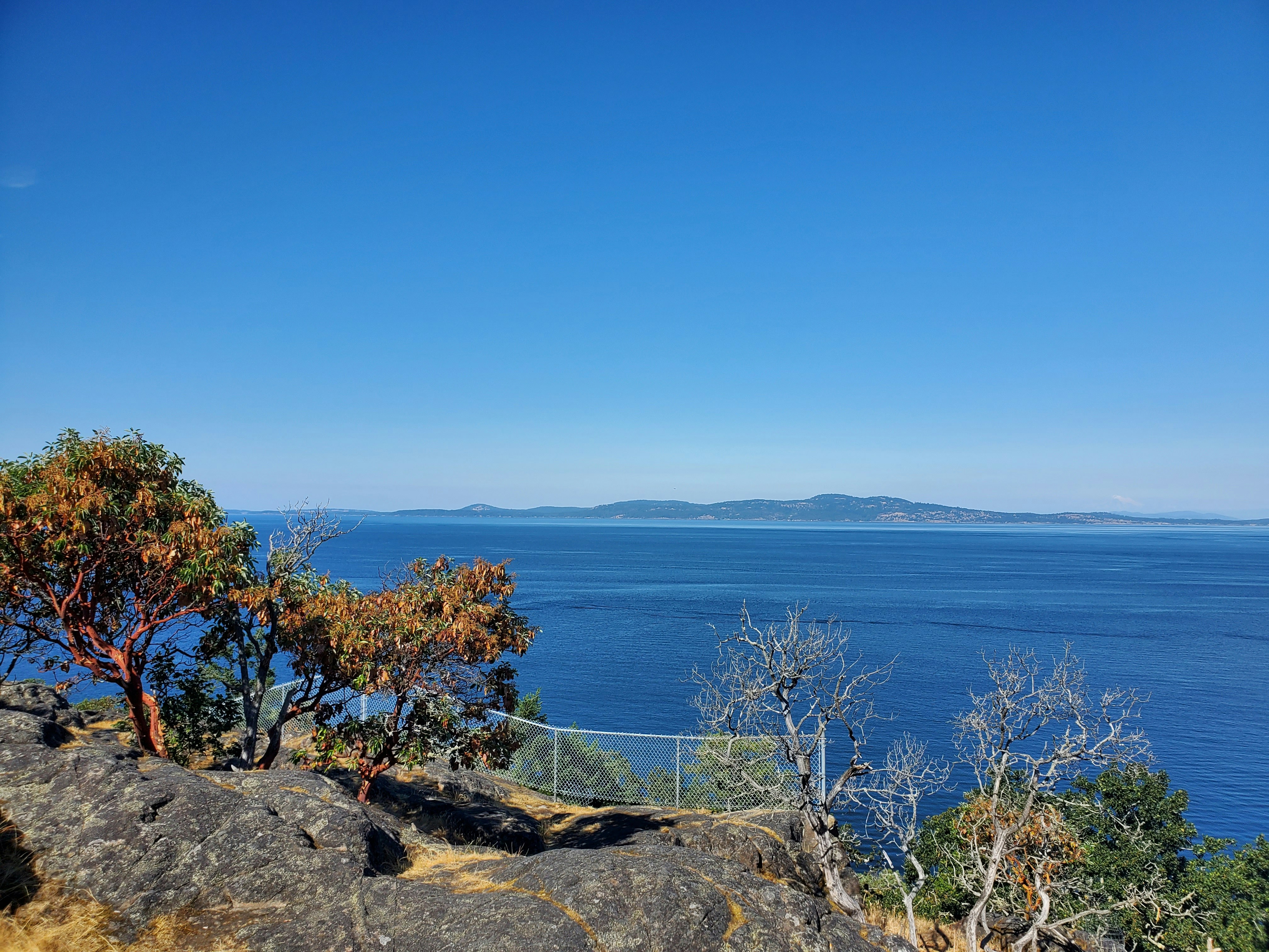 Photo by tessaherondalecarstairs