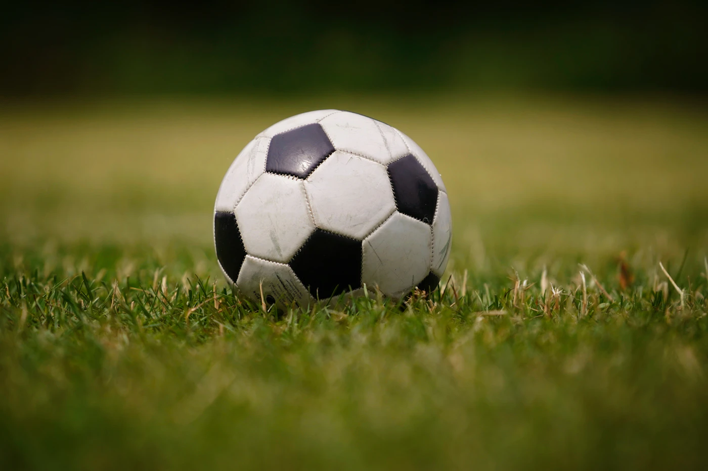 A football resting on grass