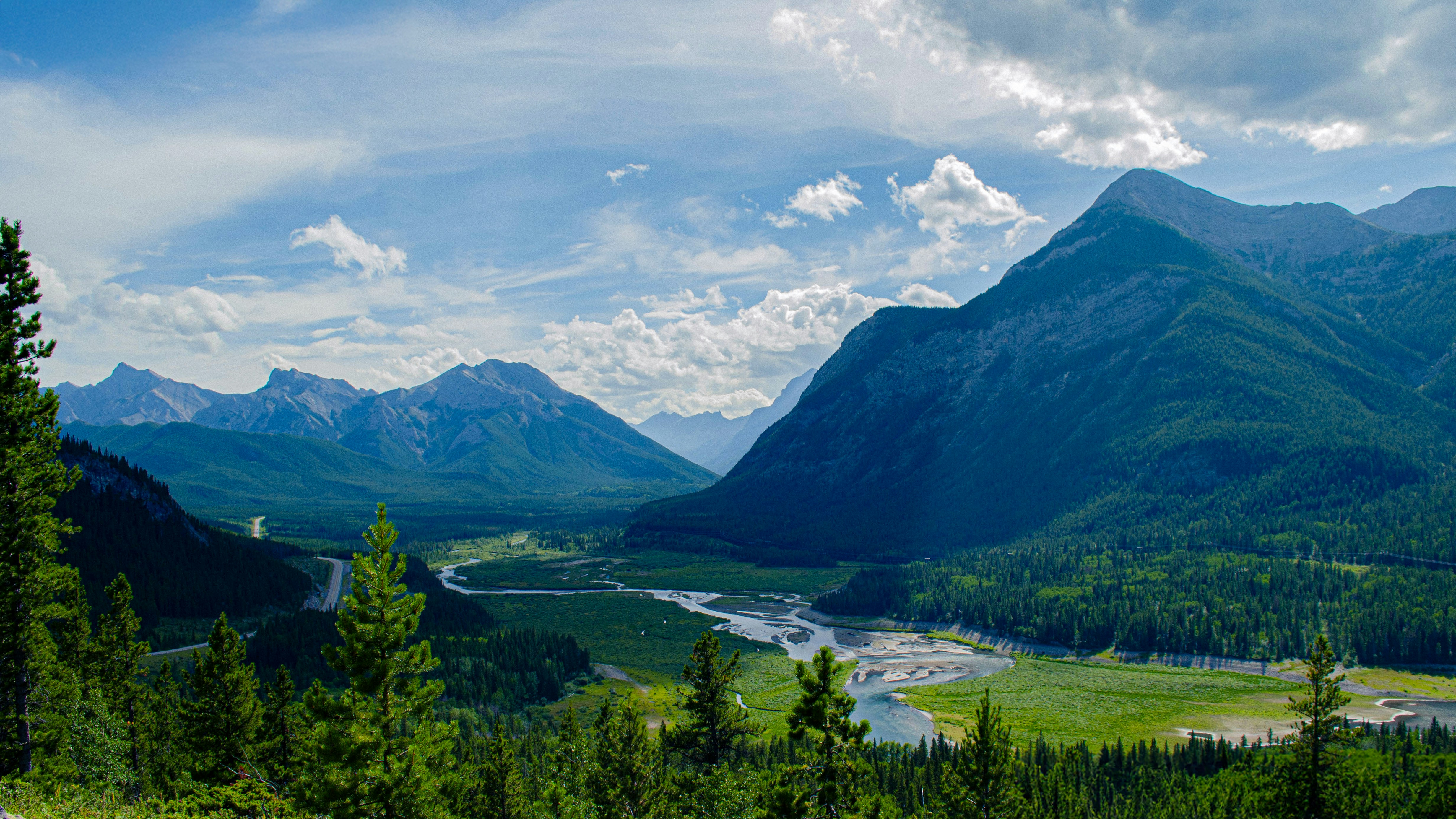 Photo by dmytro_yarish