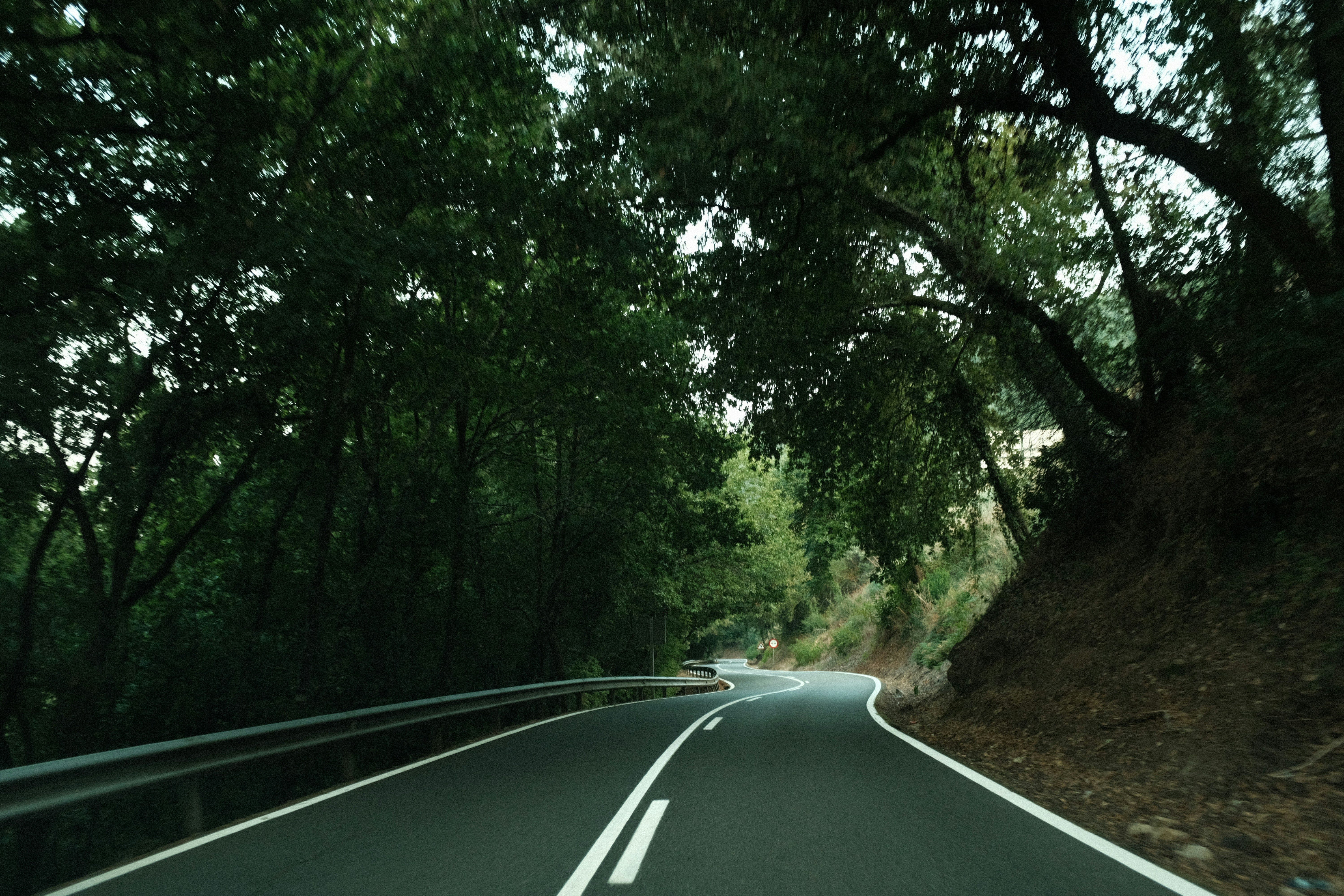 Photo by aperturevintage