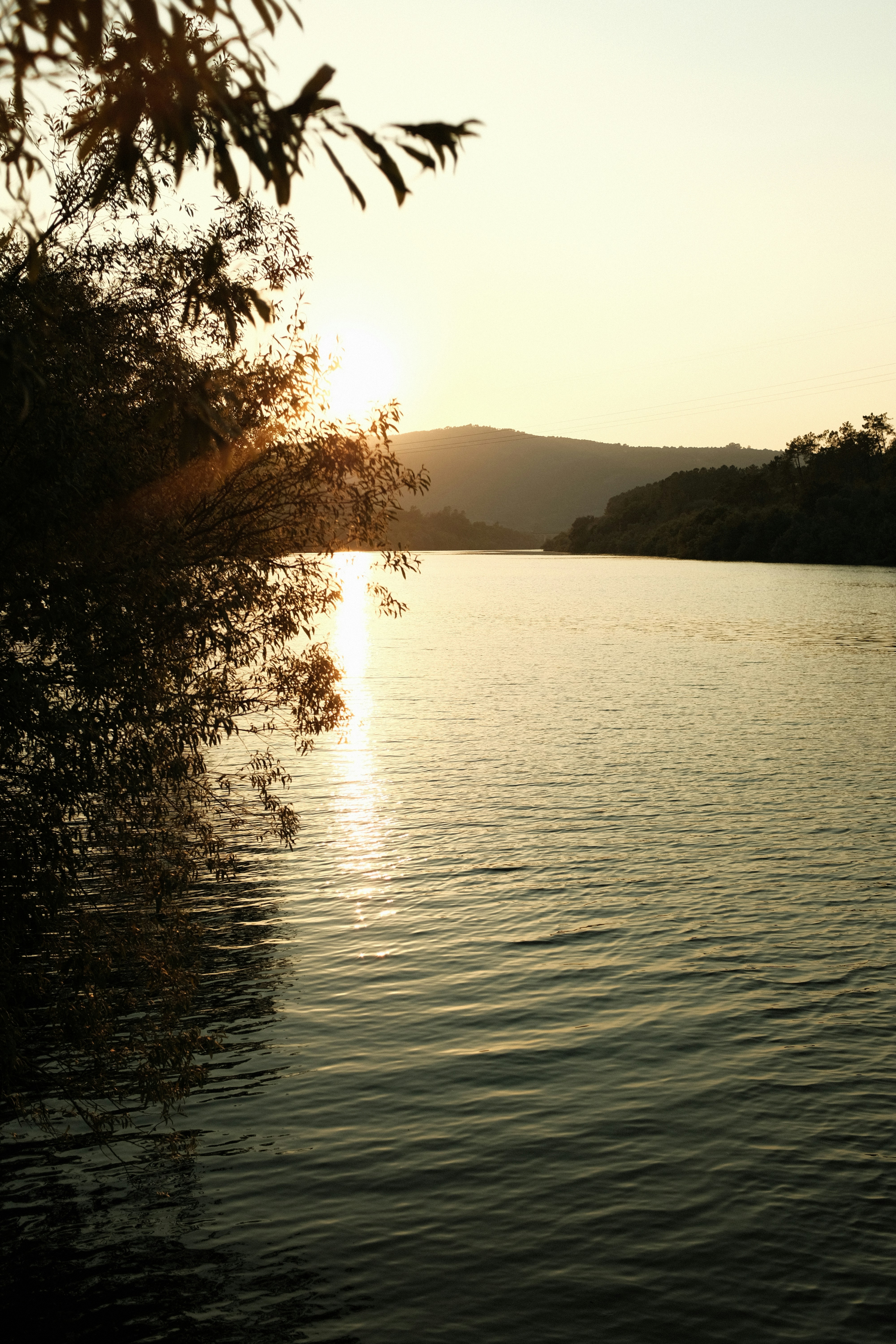 Photo by aperturevintage