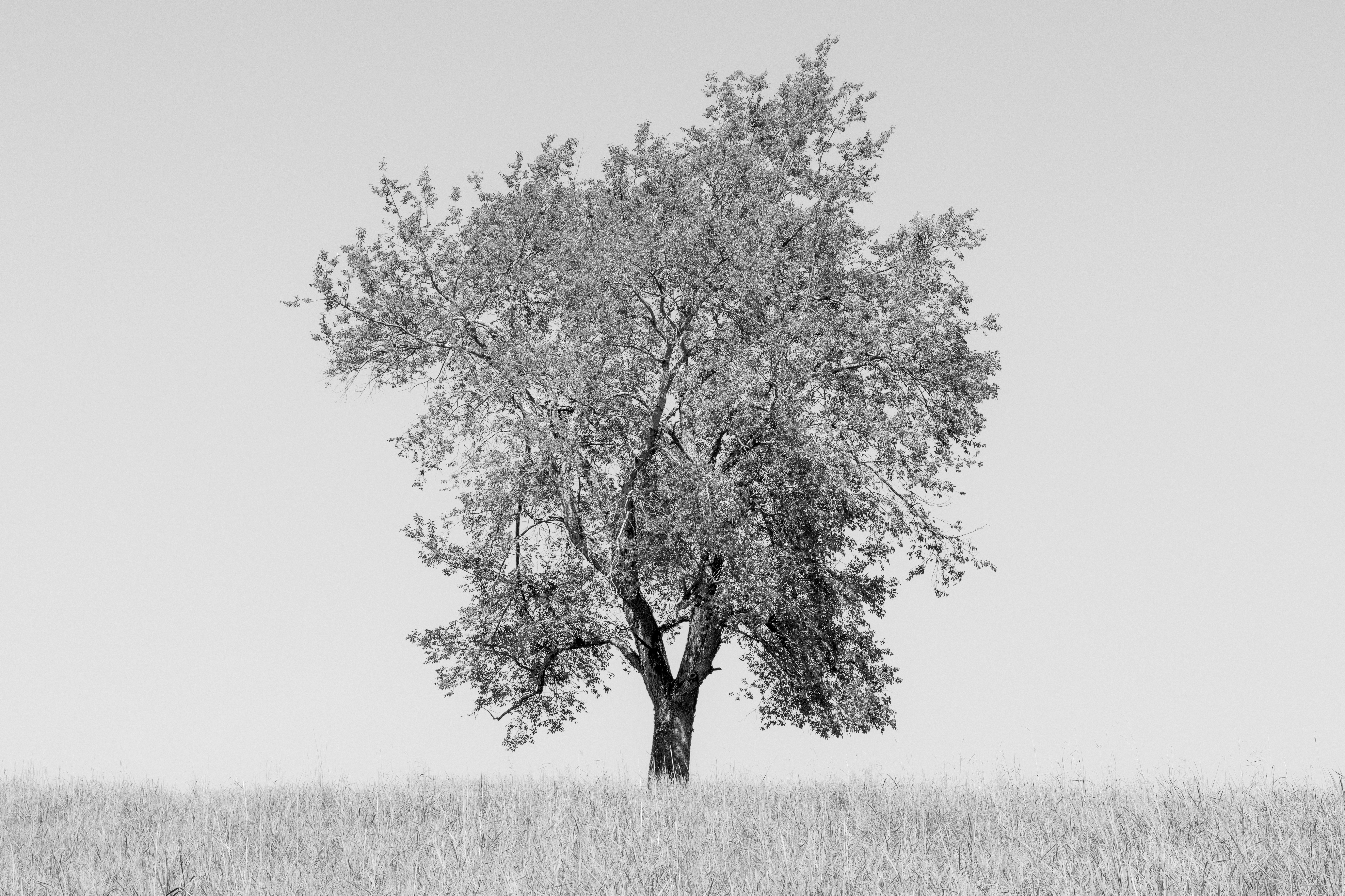 Photo by peterbbryan