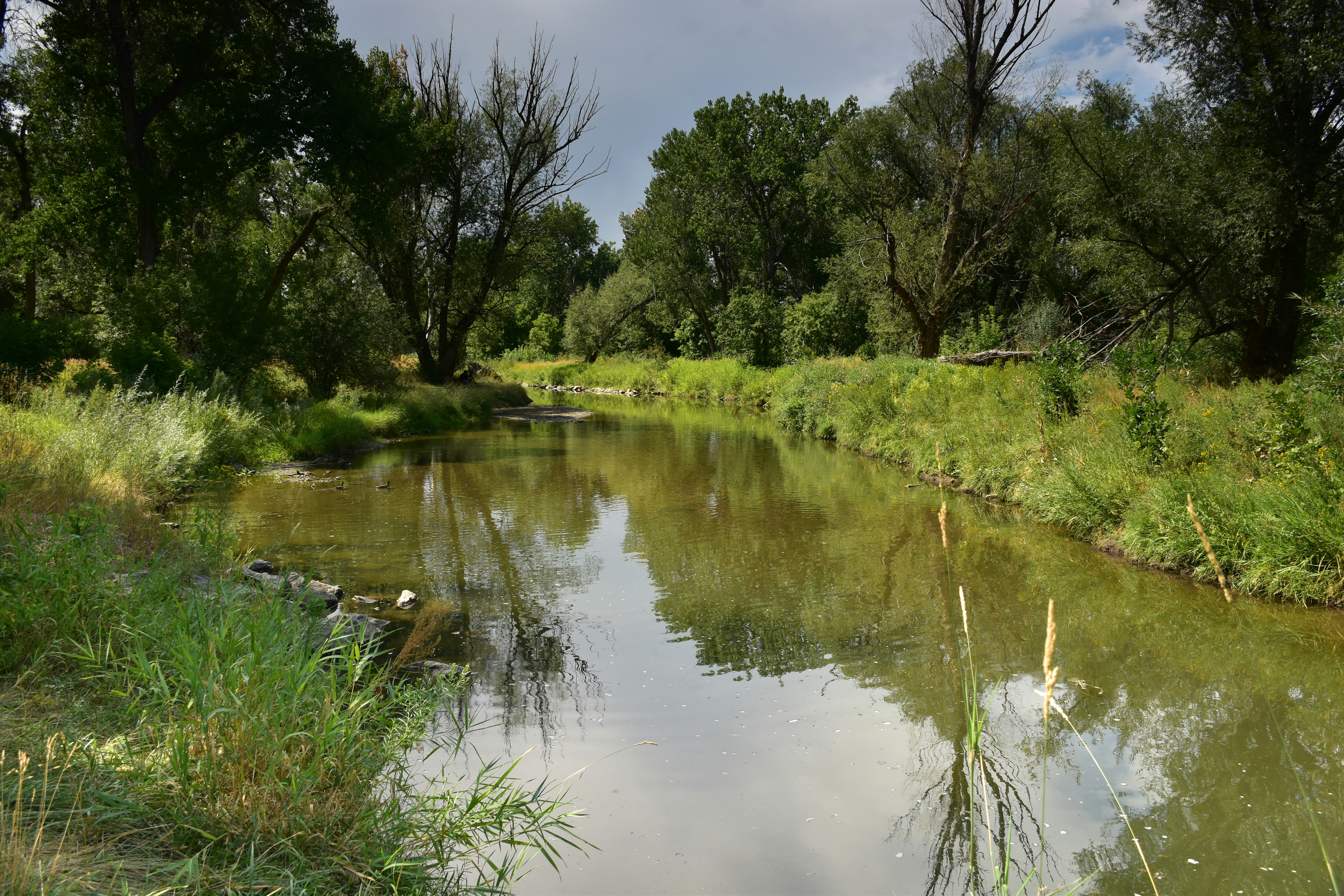 Walnut Grove, Minnesota