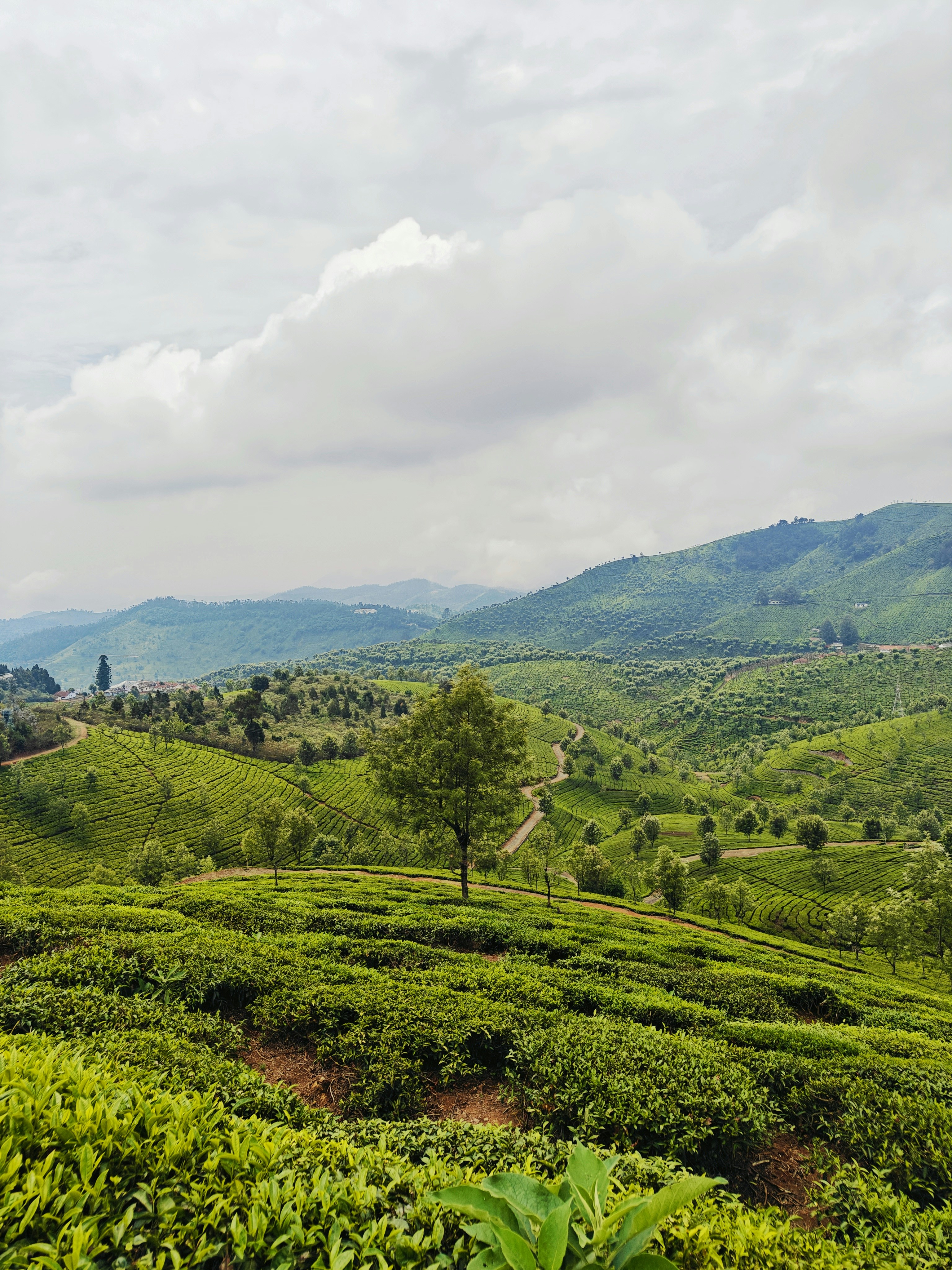 Photo by its_me_anand