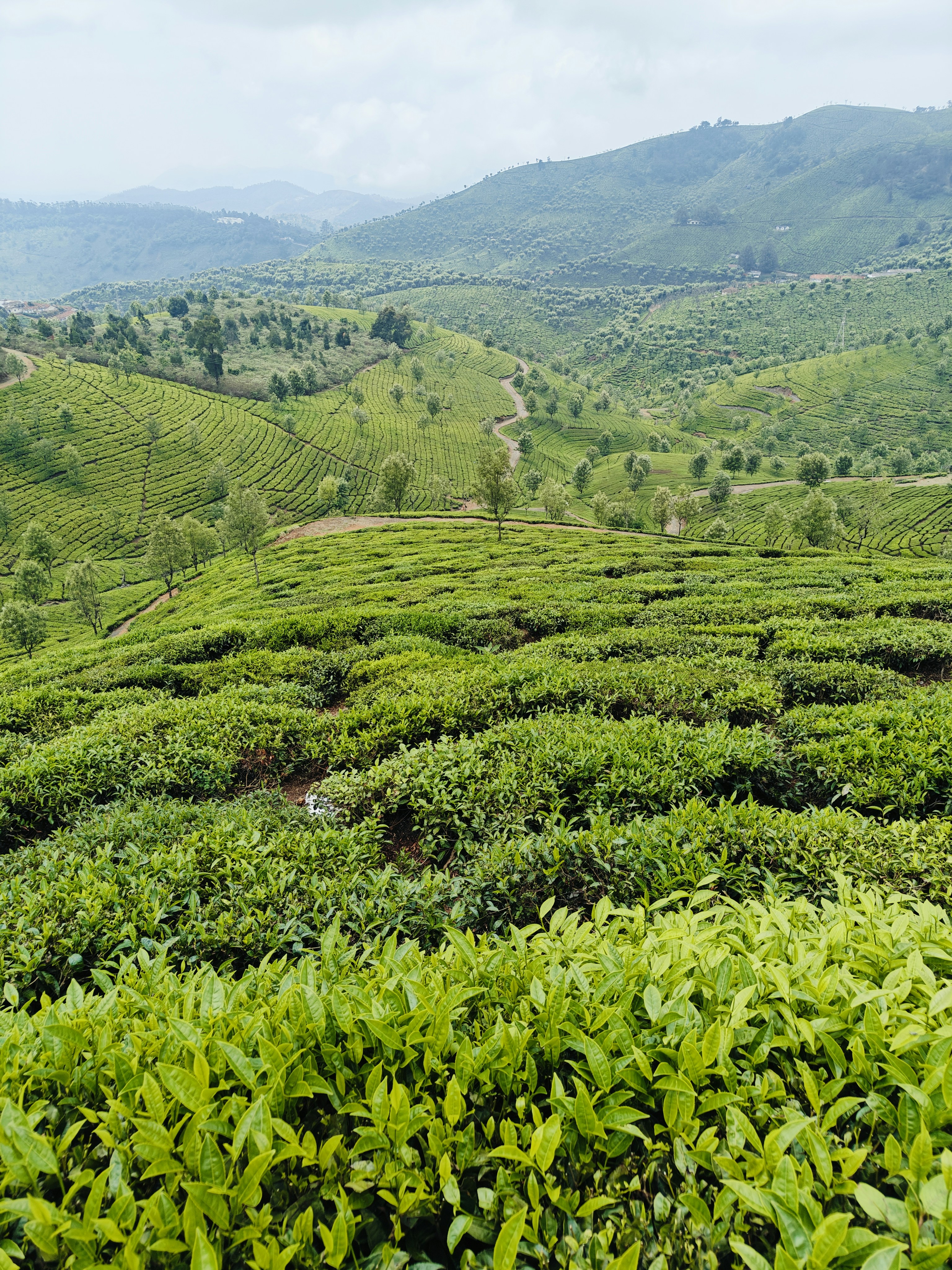 Photo by its_me_anand