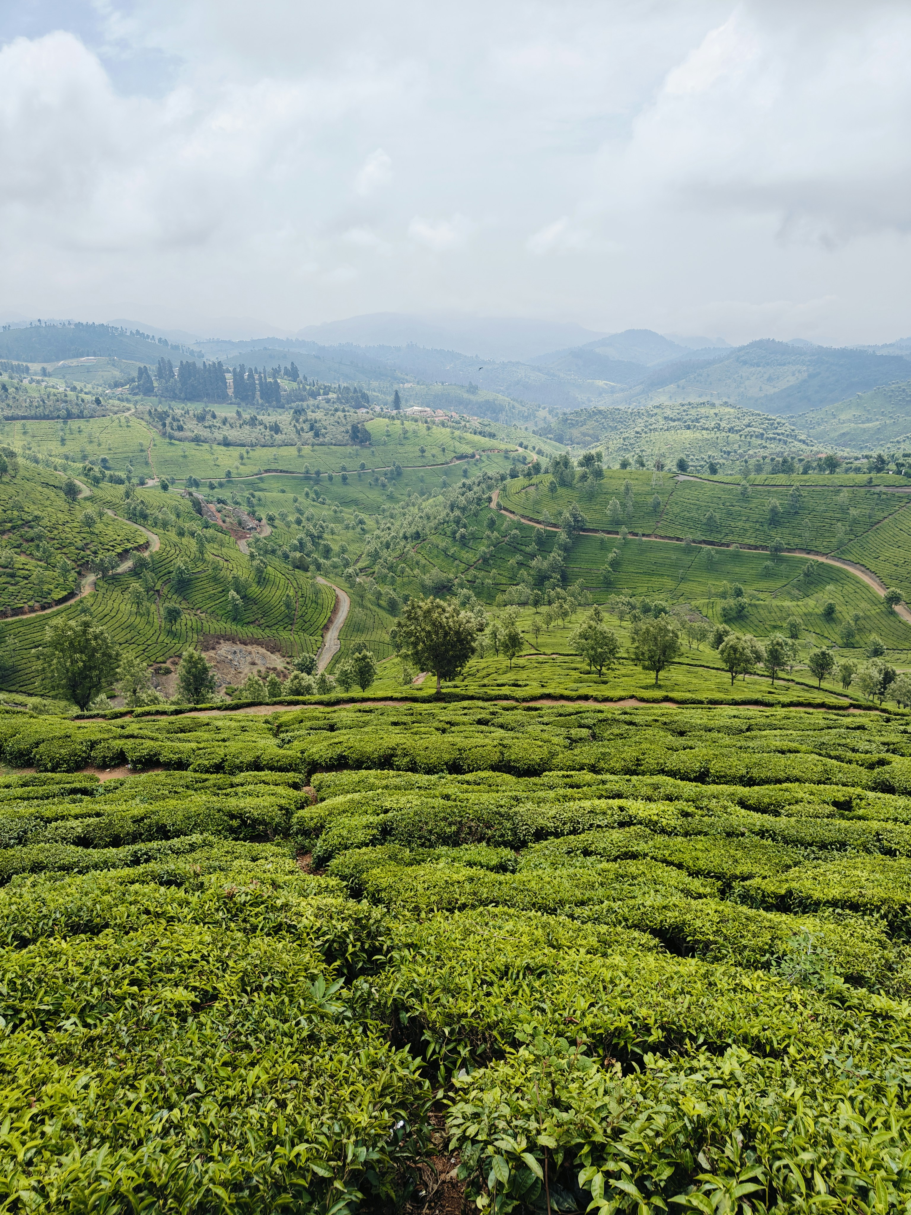 Photo by its_me_anand