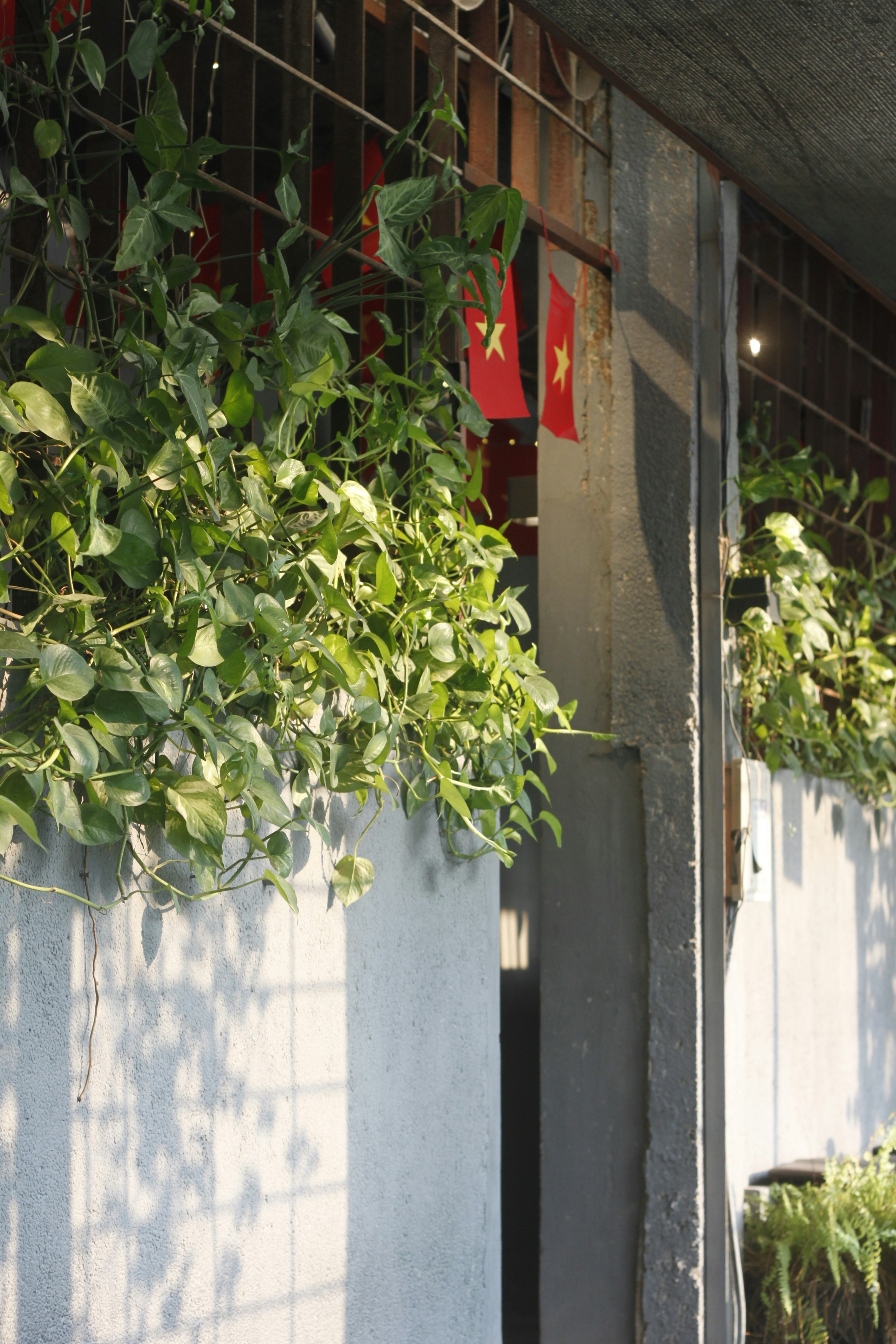 Photo by jtrinh_artwork