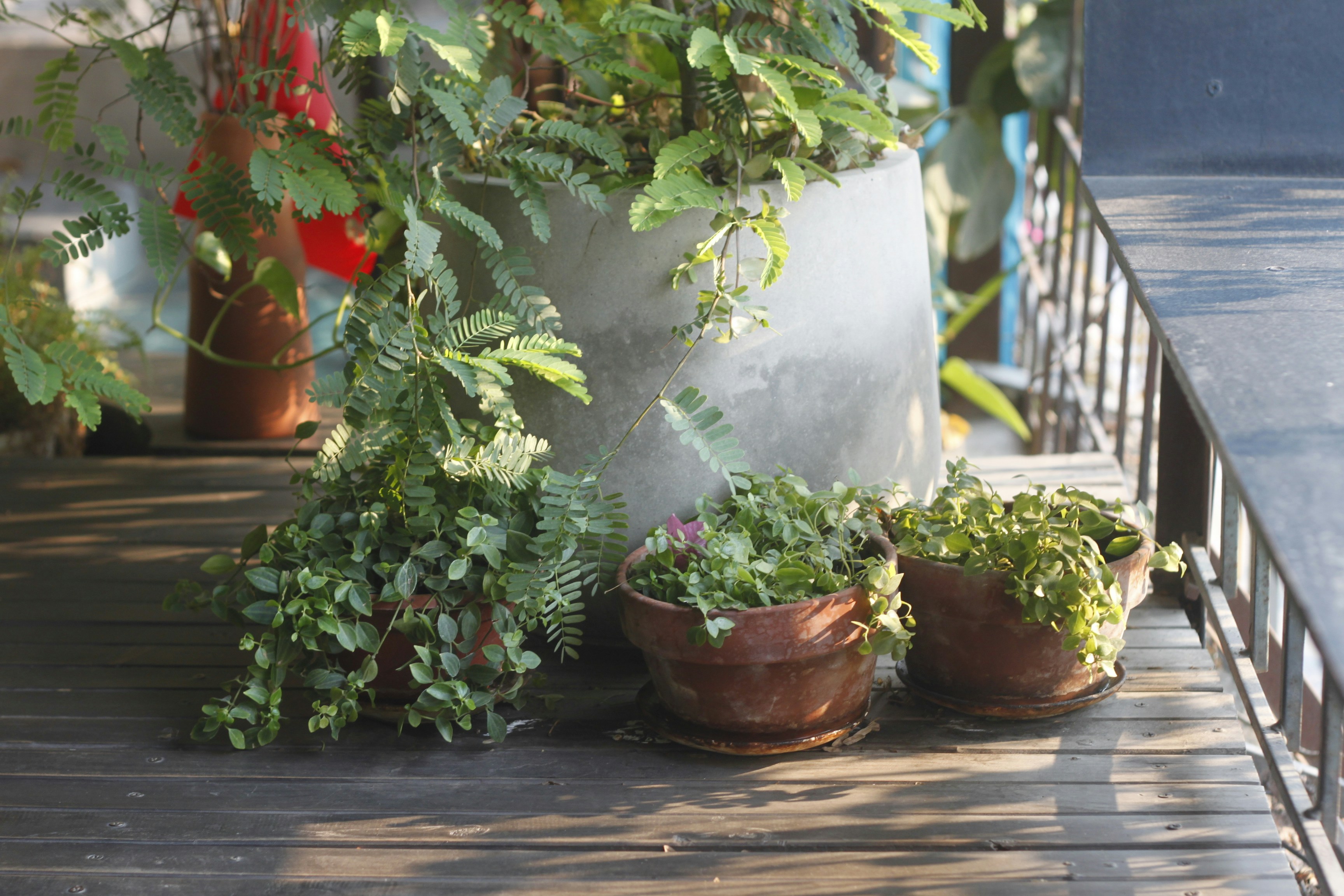 Photo by jtrinh_artwork