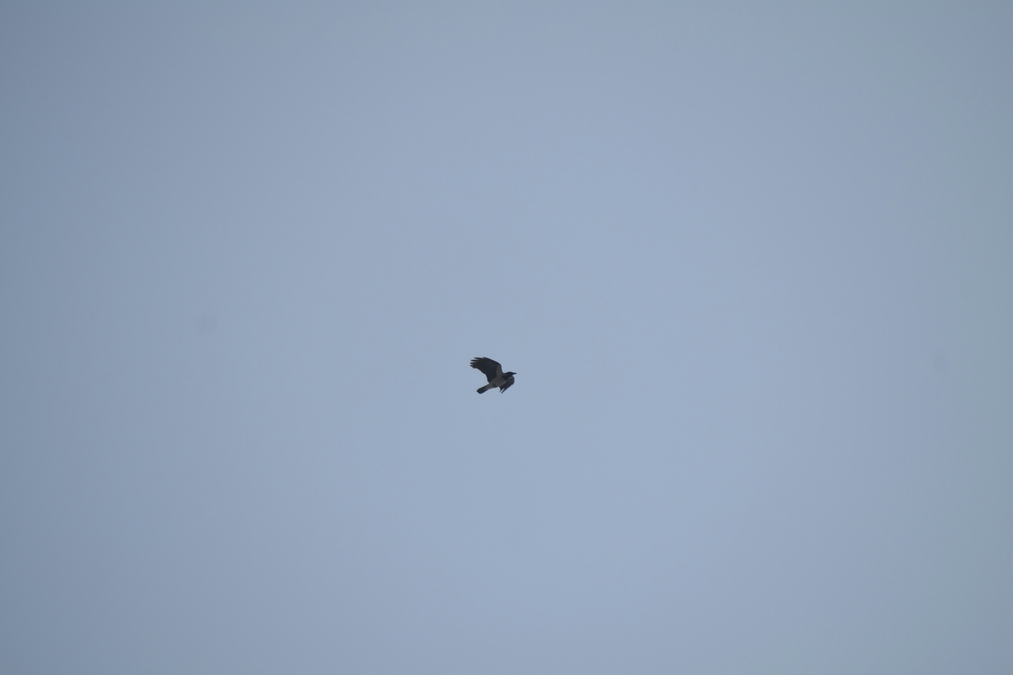 Photo by williepreply