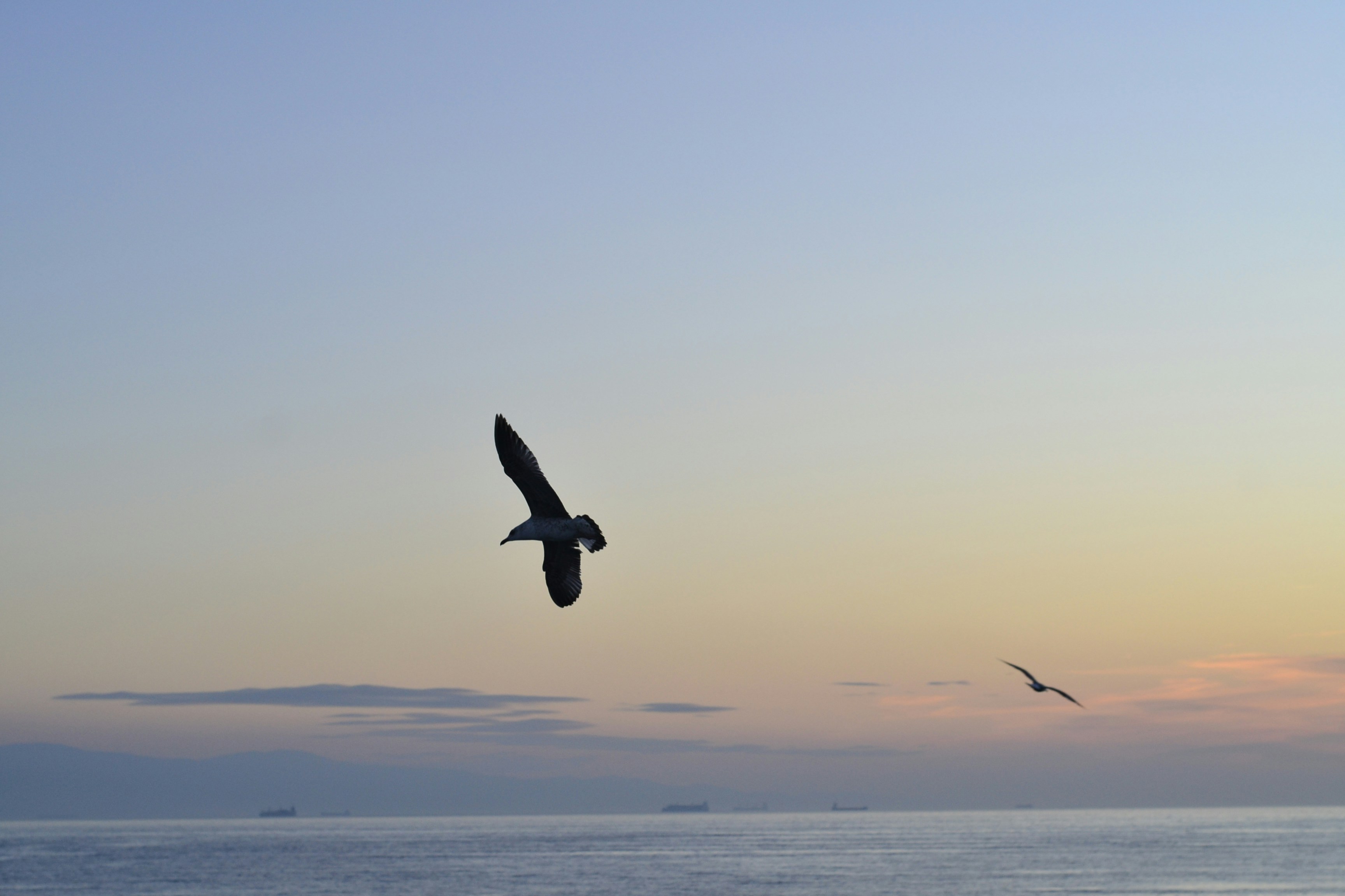 Photo by williepreply