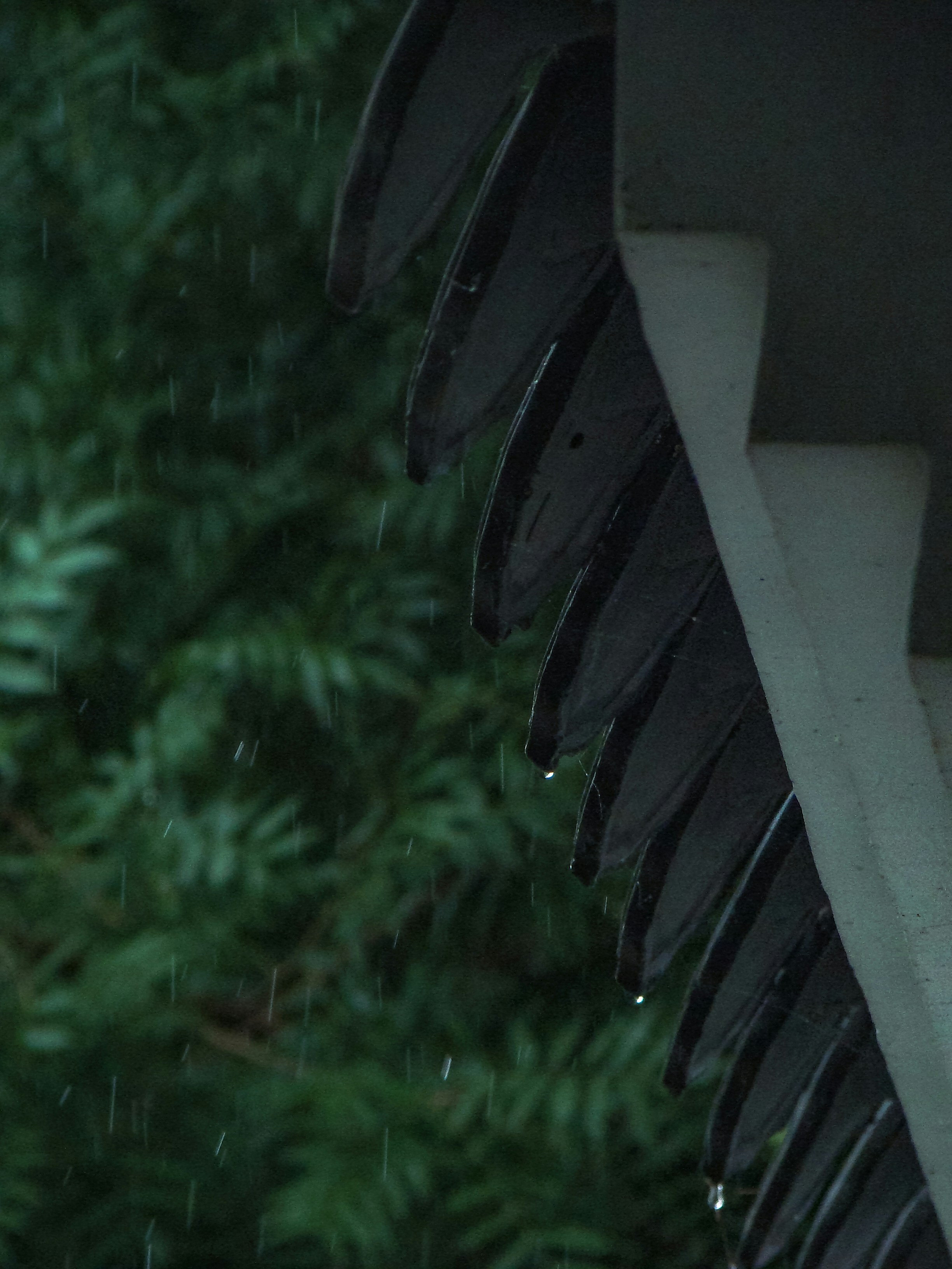 Raindrops falling from a dark roof edge