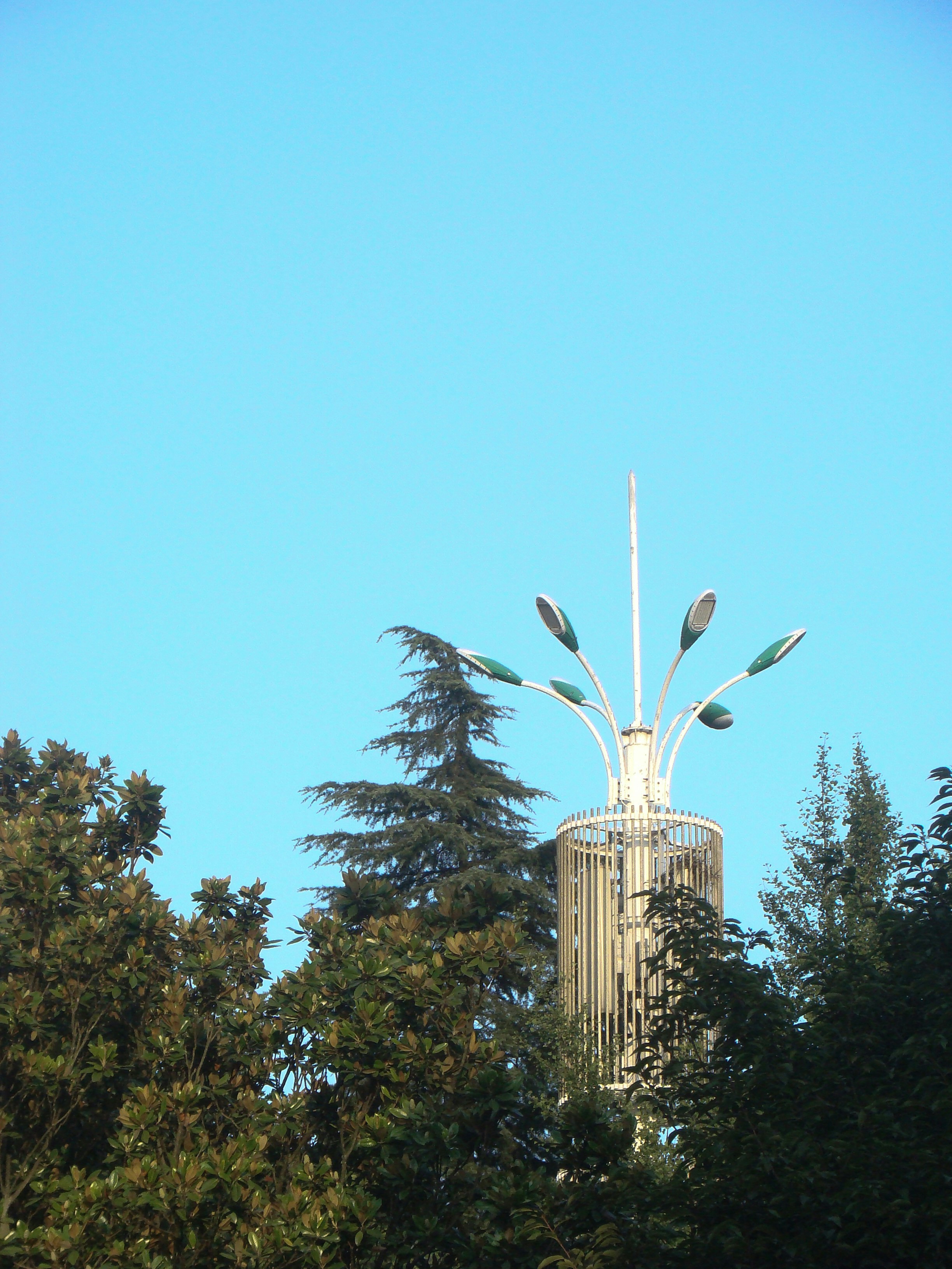 Street lamp surrounded by trees against a clear blue sky