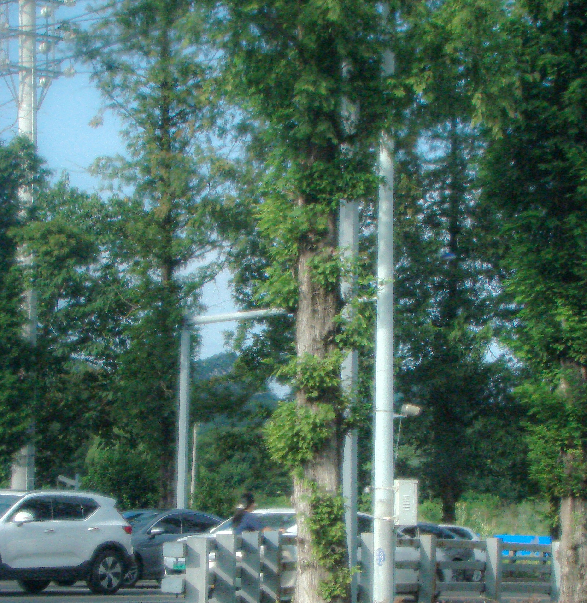photo-1756016865213-575fba5be239?ixid=M3wxMjA3fDB8MXxzZWFyY2h8MTV8fGVjb2NhciUyMG1vdG9ycyUyMGluYy58ZW58MHx8fHwxNzU2NTc2OTU0fDA\u0026ixlib=rb-4.1.0
