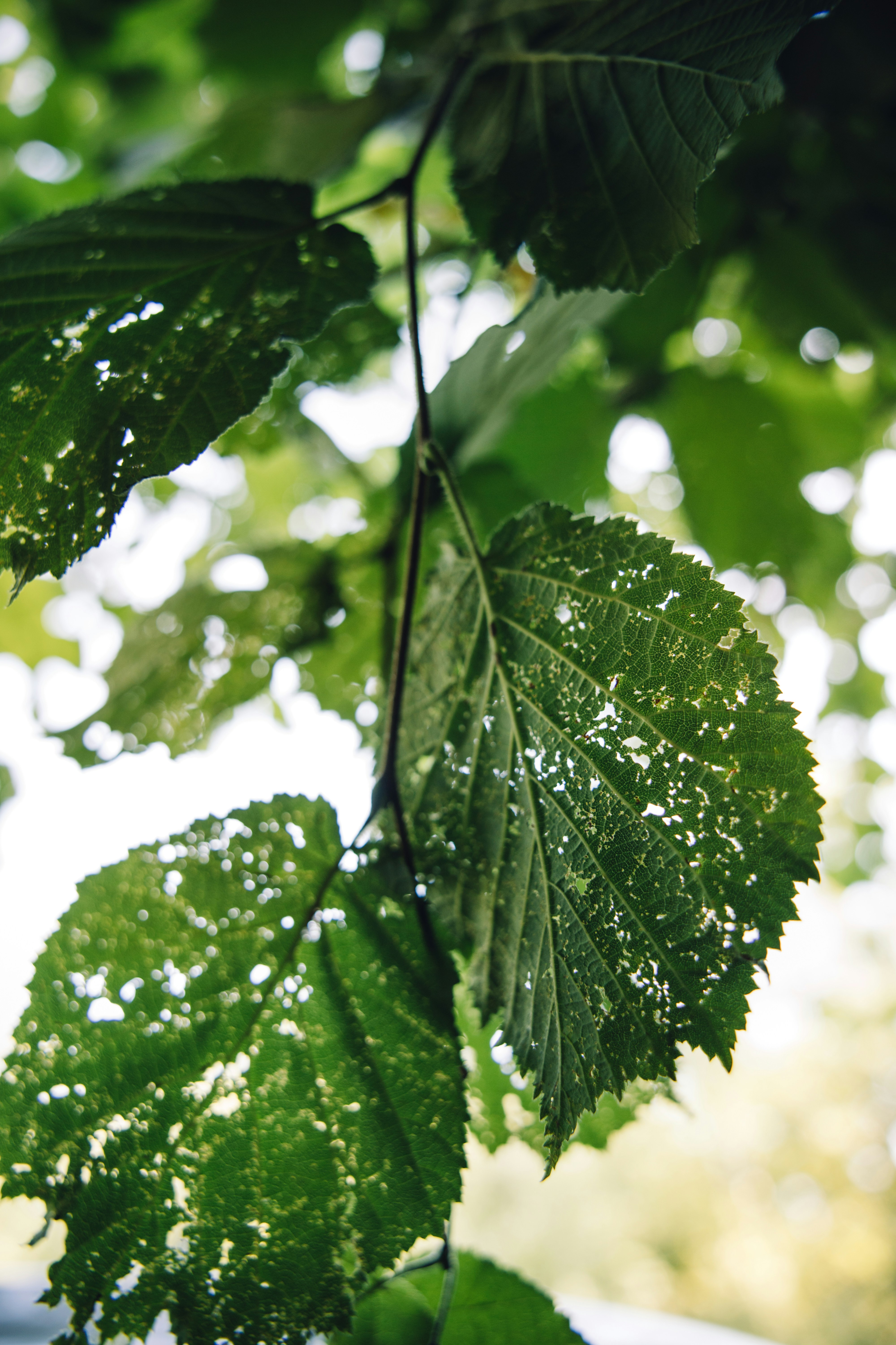 Photo by earthfulmoments