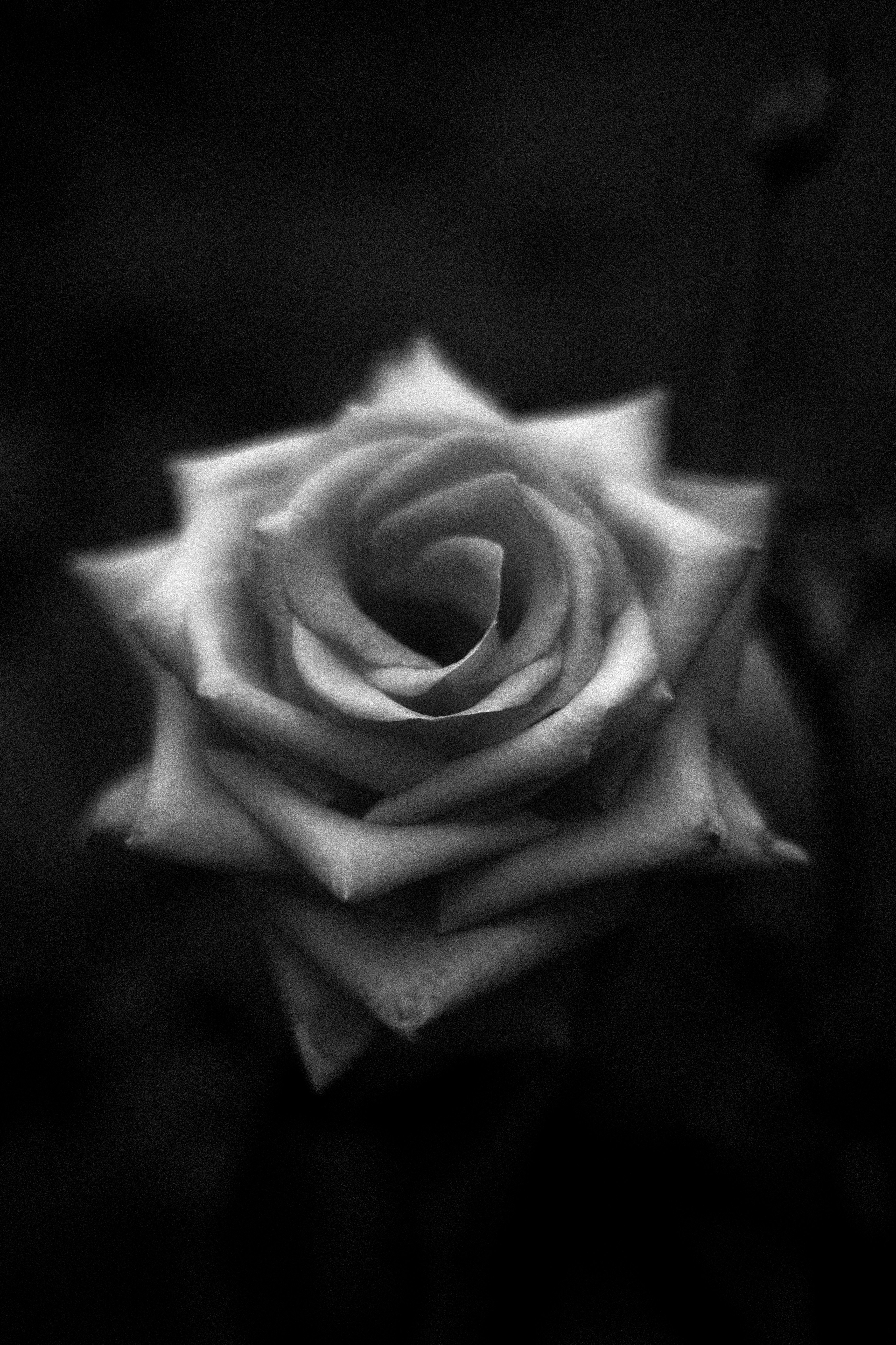 Photo by reinisbruzitis