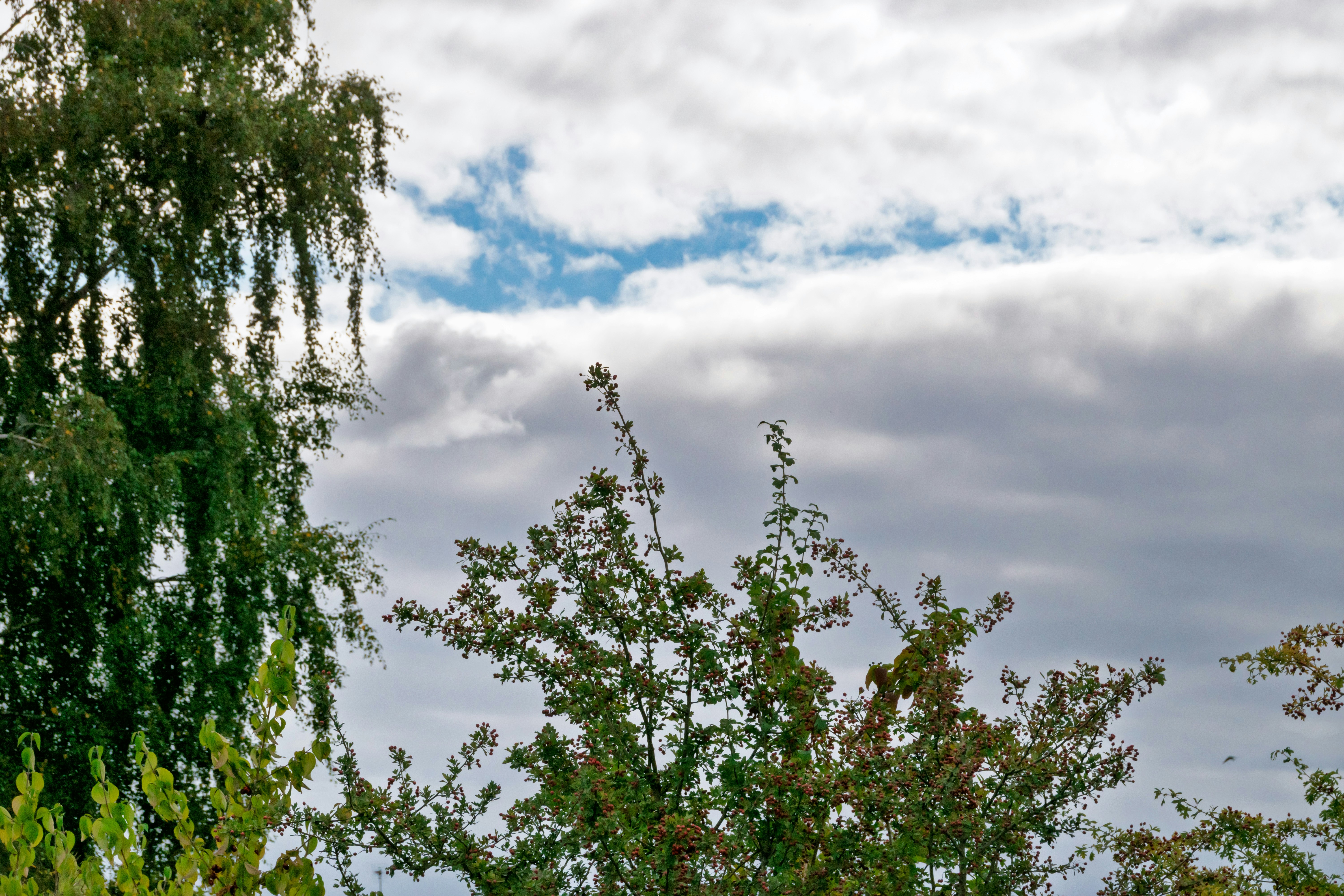 Photo by skstrannik