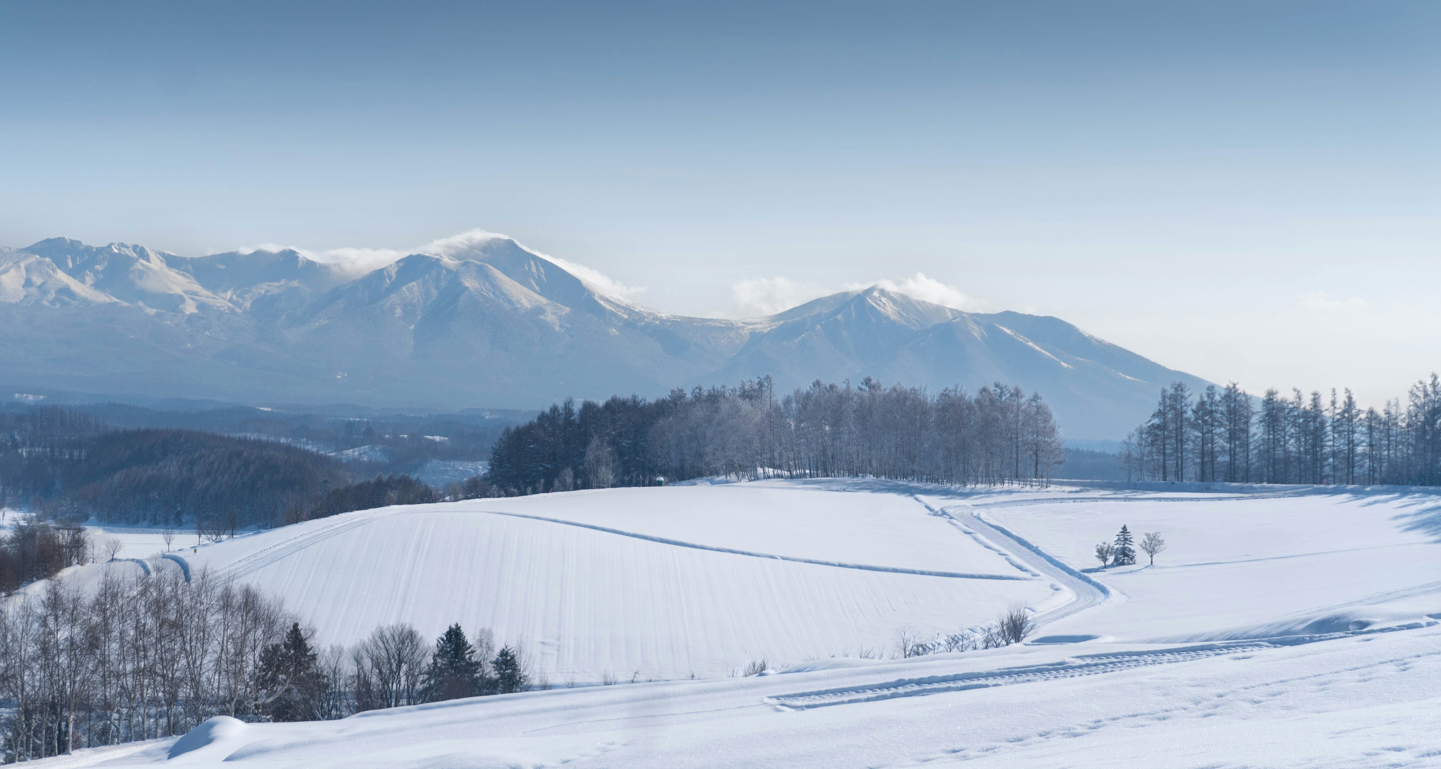 Photo by hidingninjatokyo