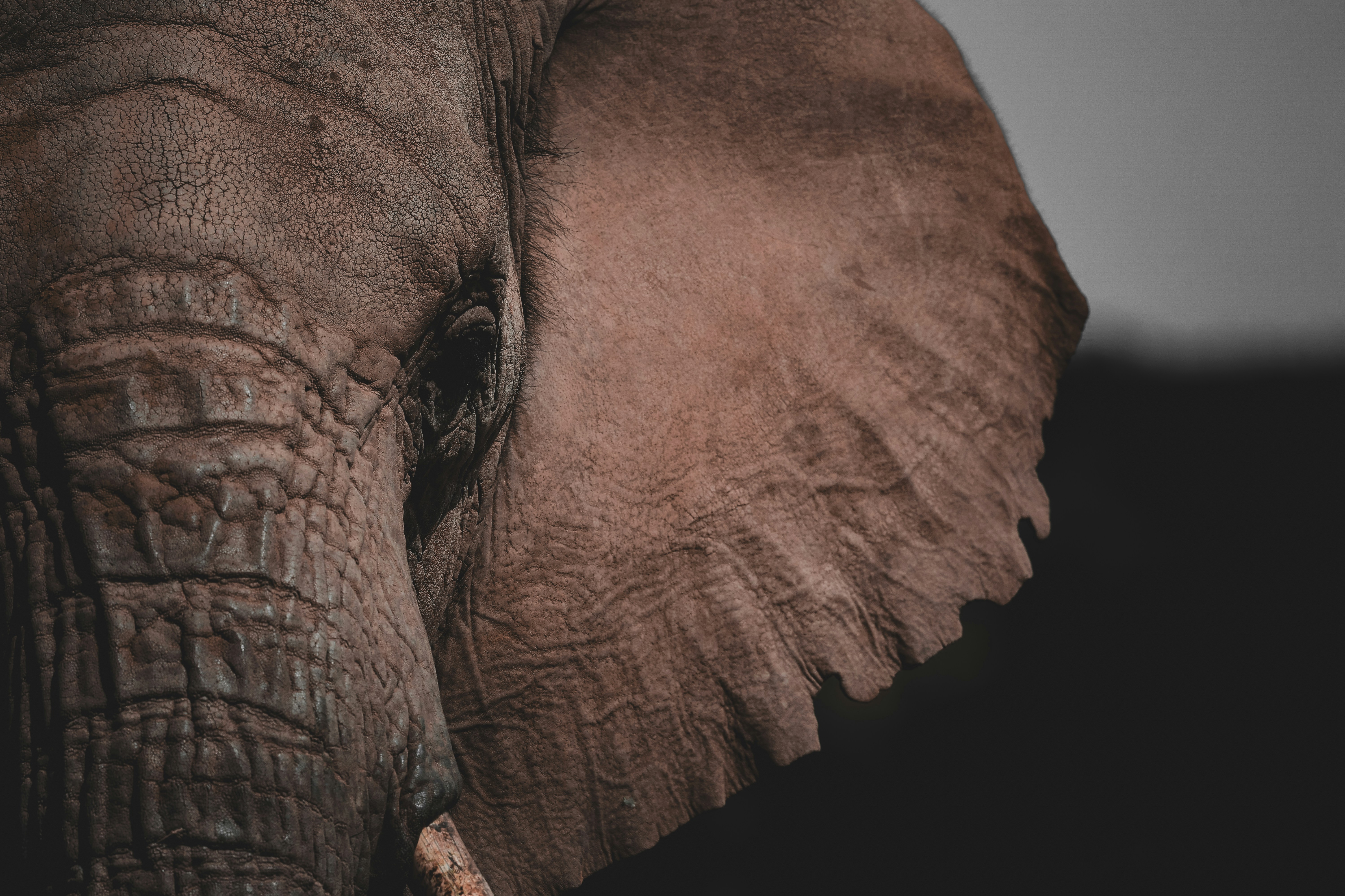 Photo by amandaswanepoel