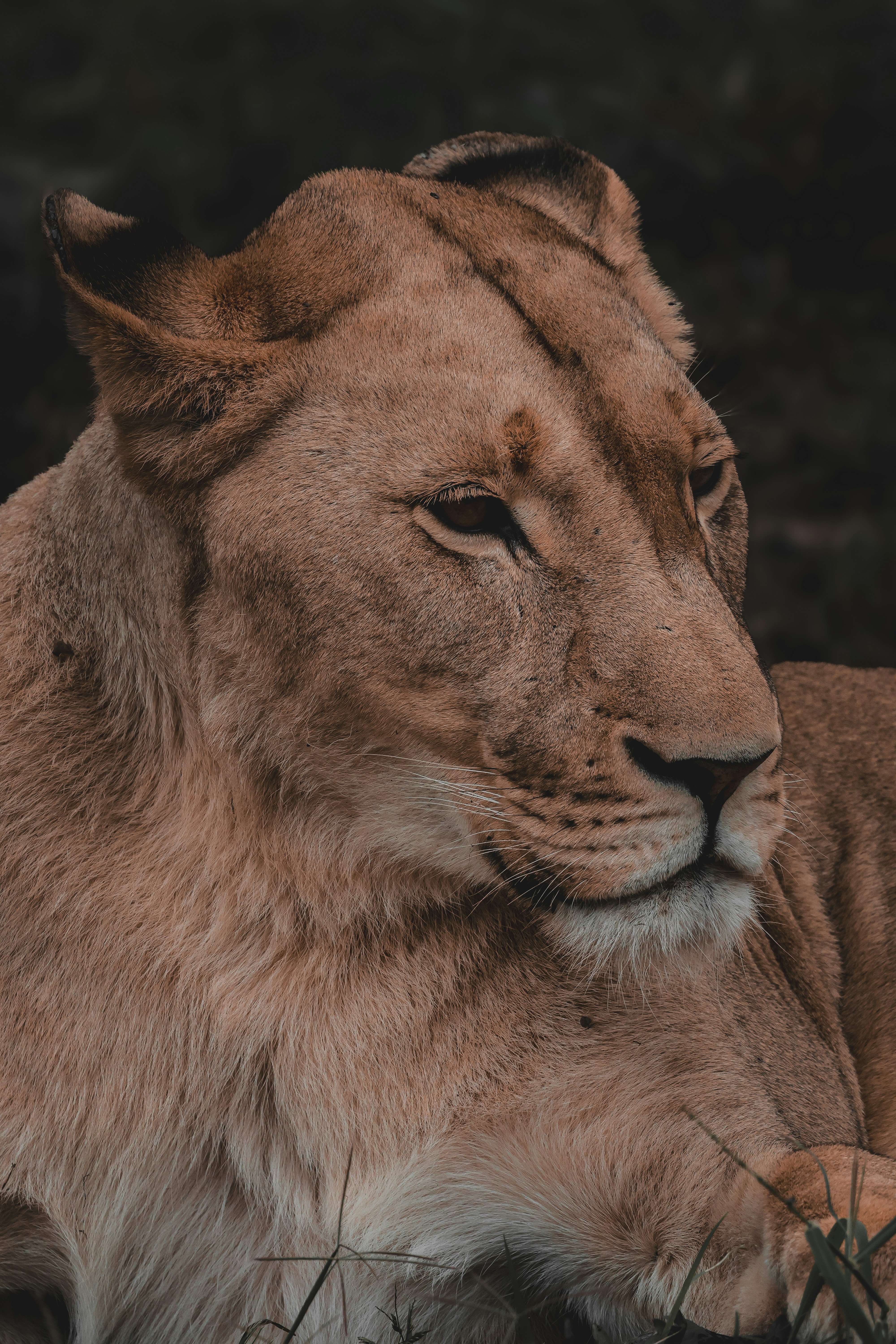 Photo by amandaswanepoel