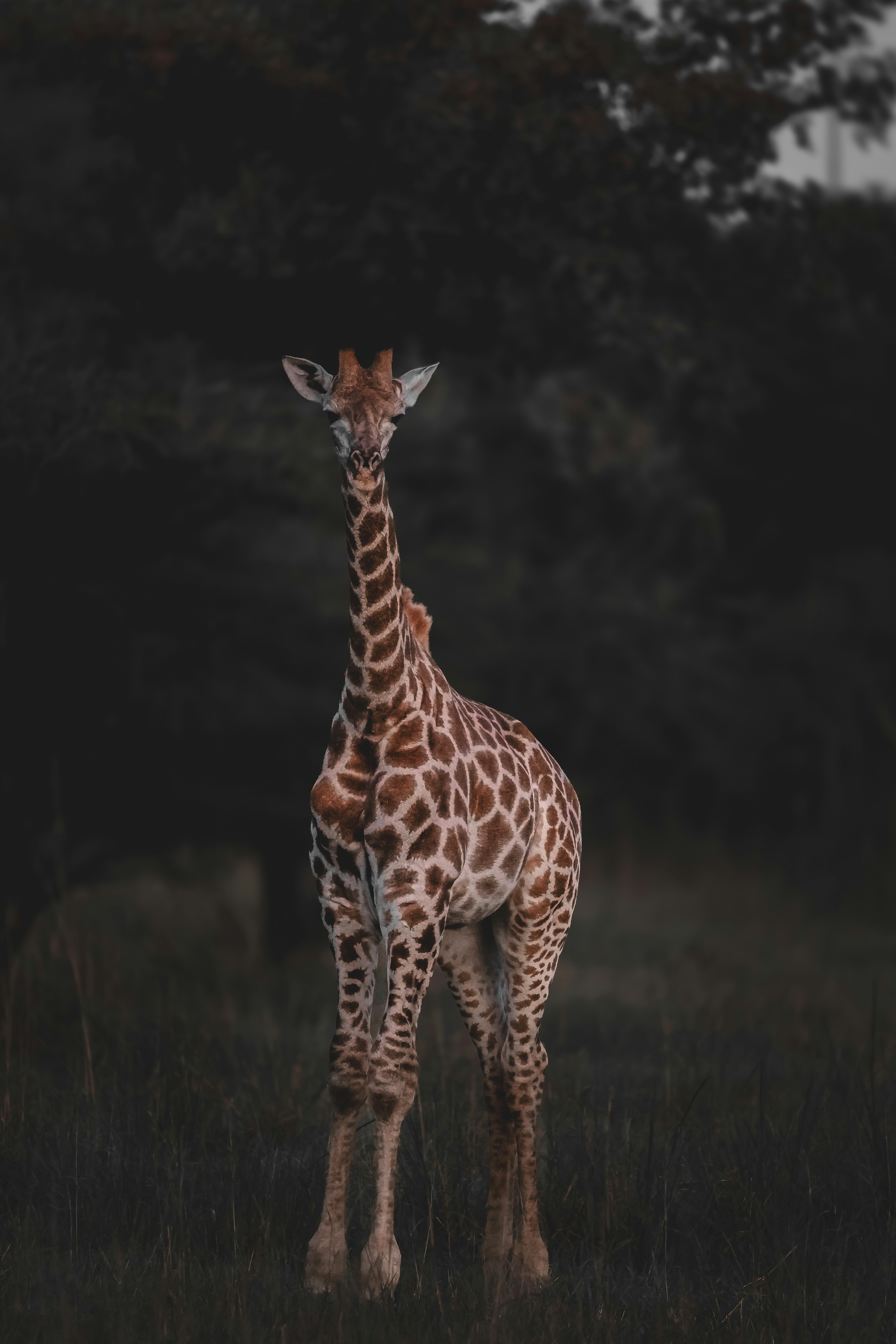 Photo by amandaswanepoel