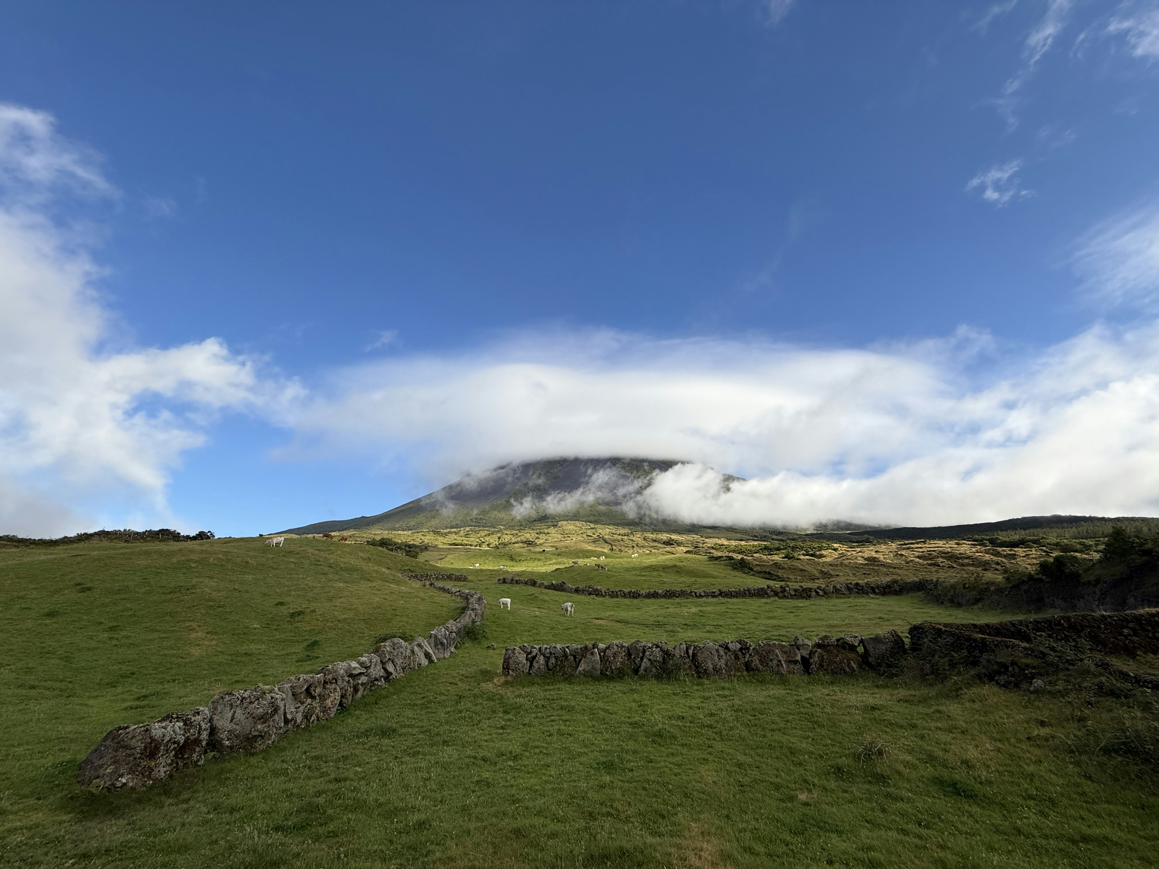 Photo by francesco_ungaro