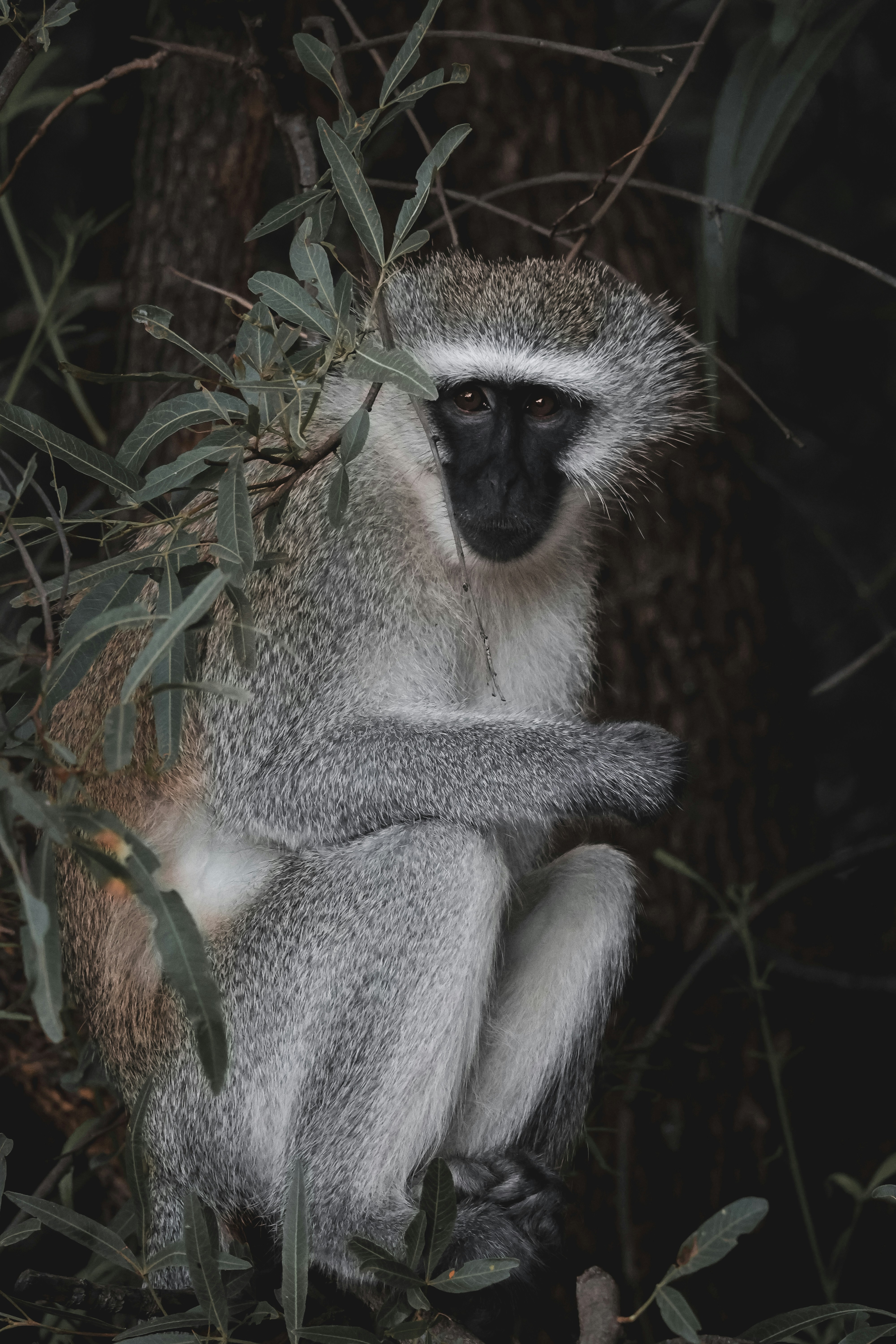 Photo by amandaswanepoel