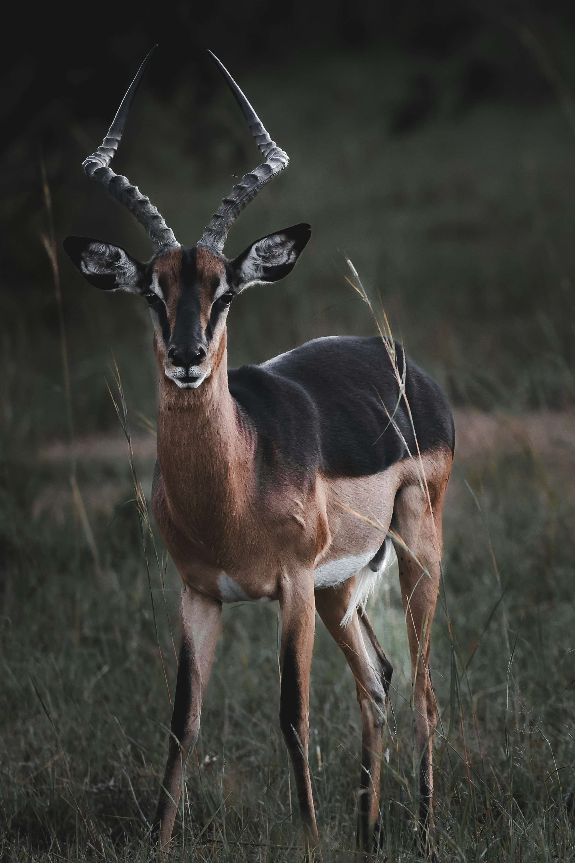 Photo by amandaswanepoel