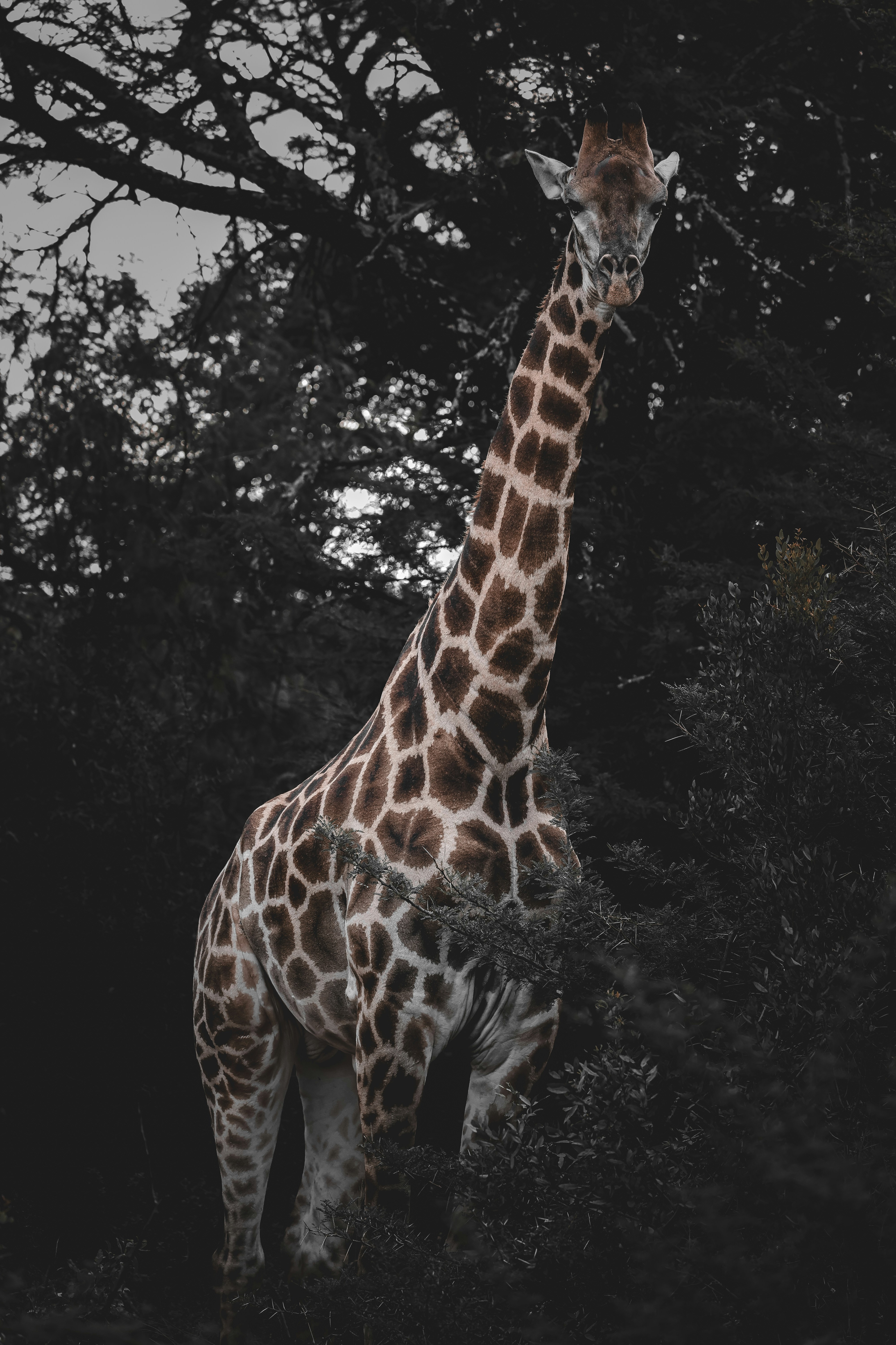 Photo by amandaswanepoel