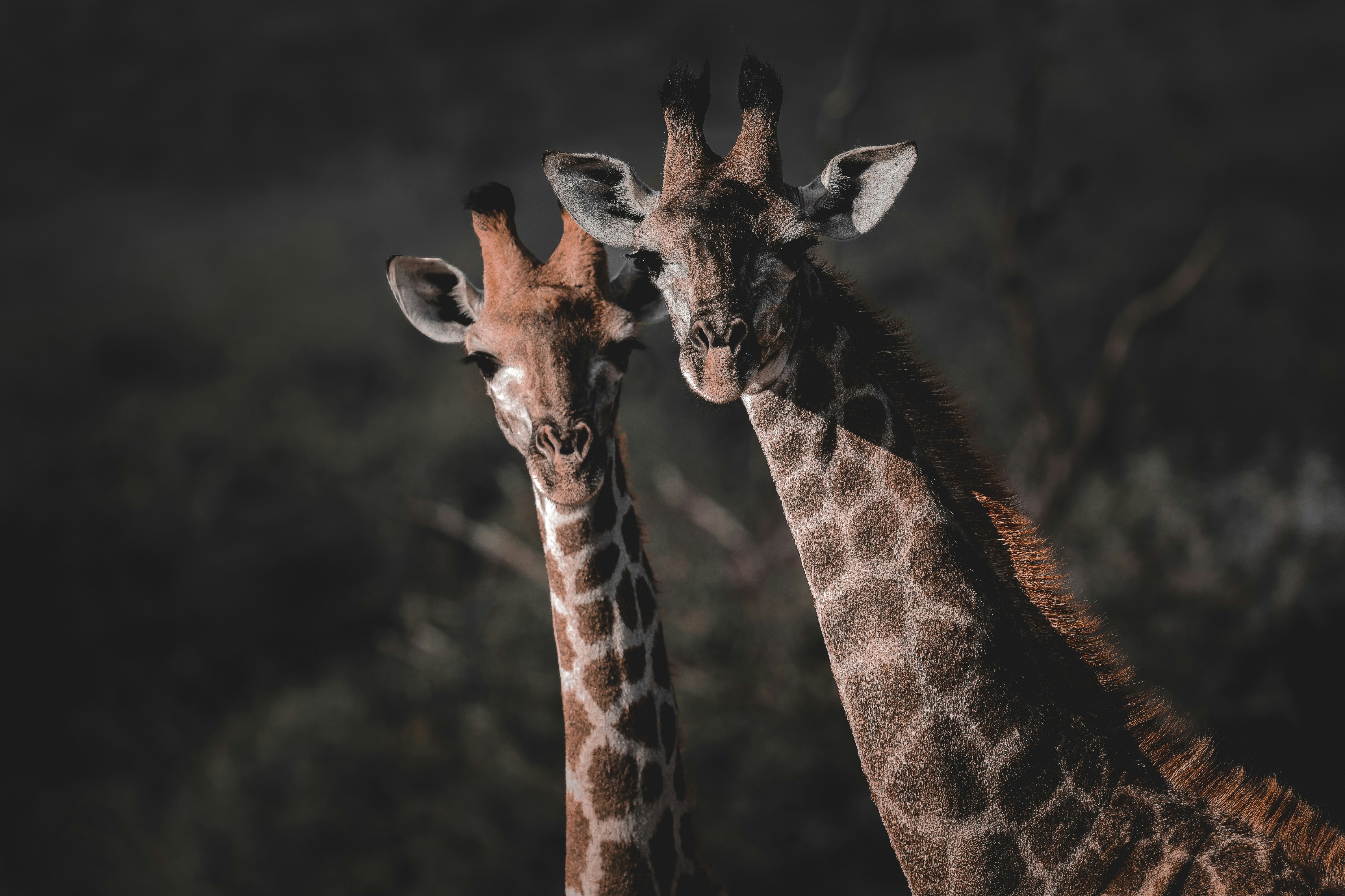 Photo by amandaswanepoel