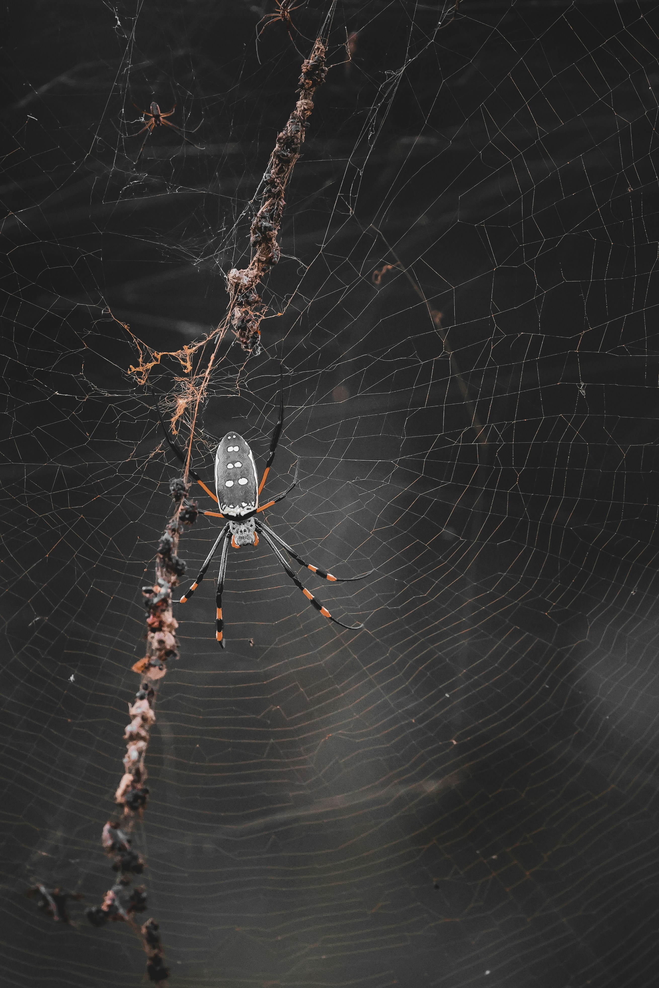 Photo by amandaswanepoel