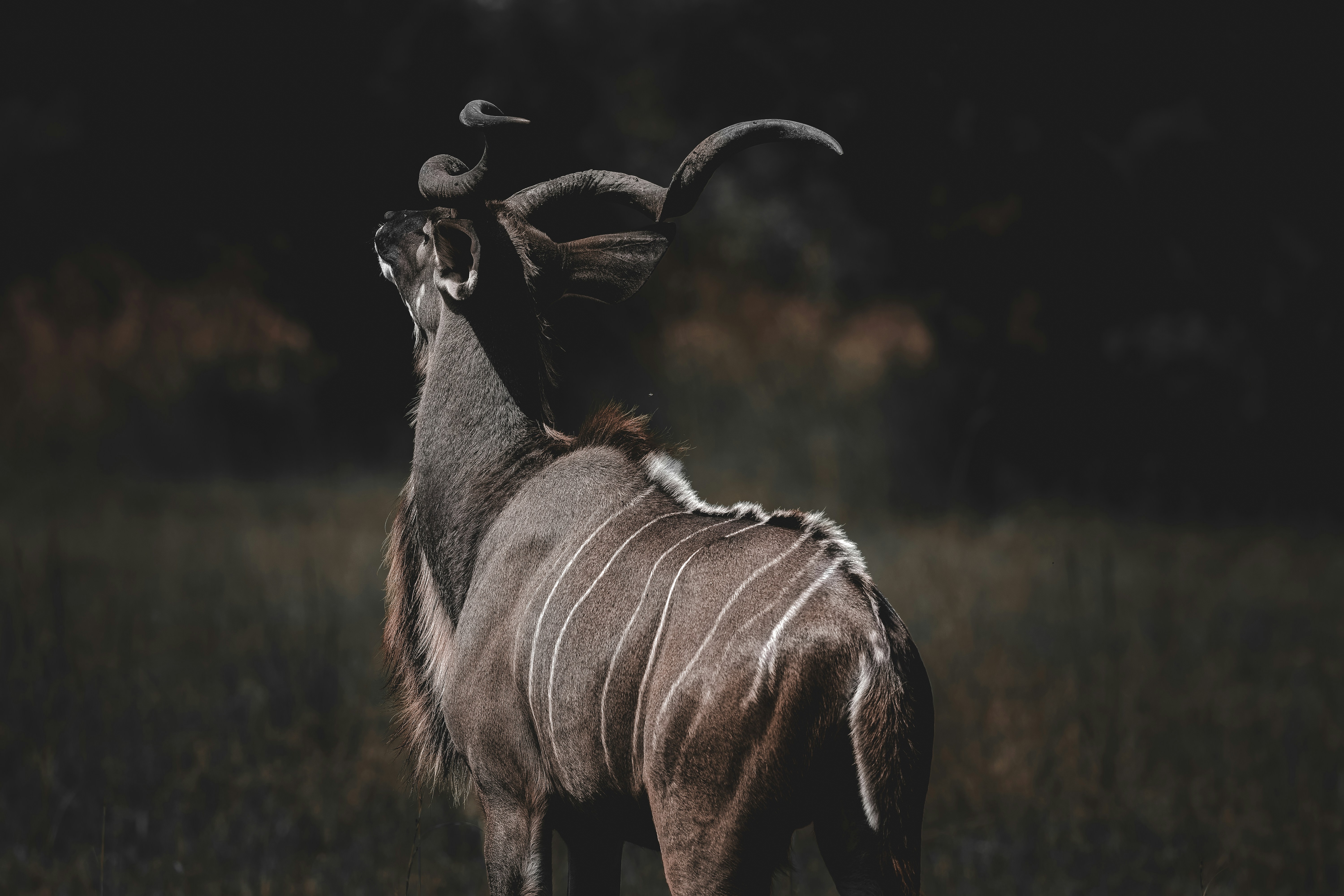 The Evolution of Unicode Tooling in 2026: Linting, Bidi, and Beyond