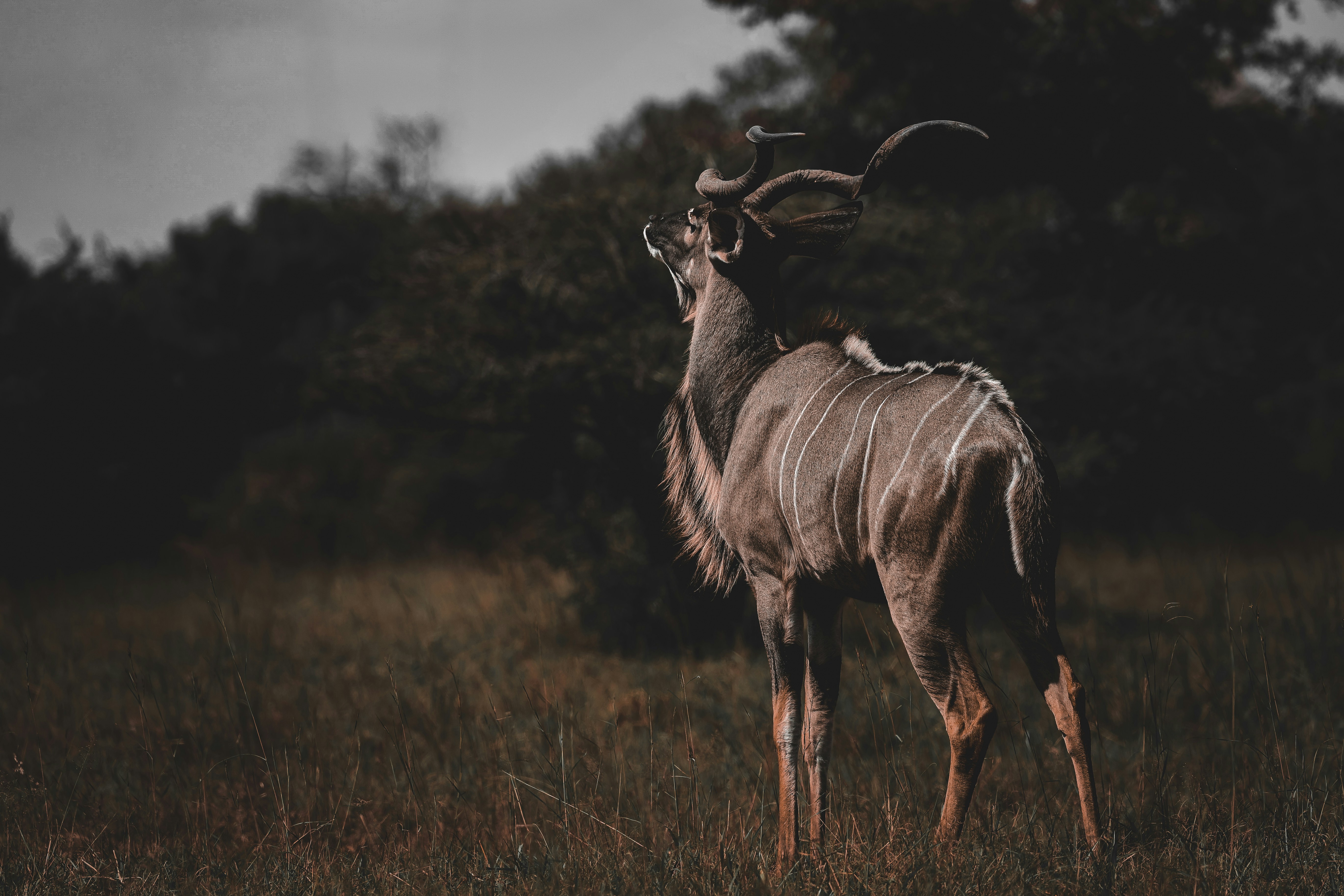 Photo by amandaswanepoel