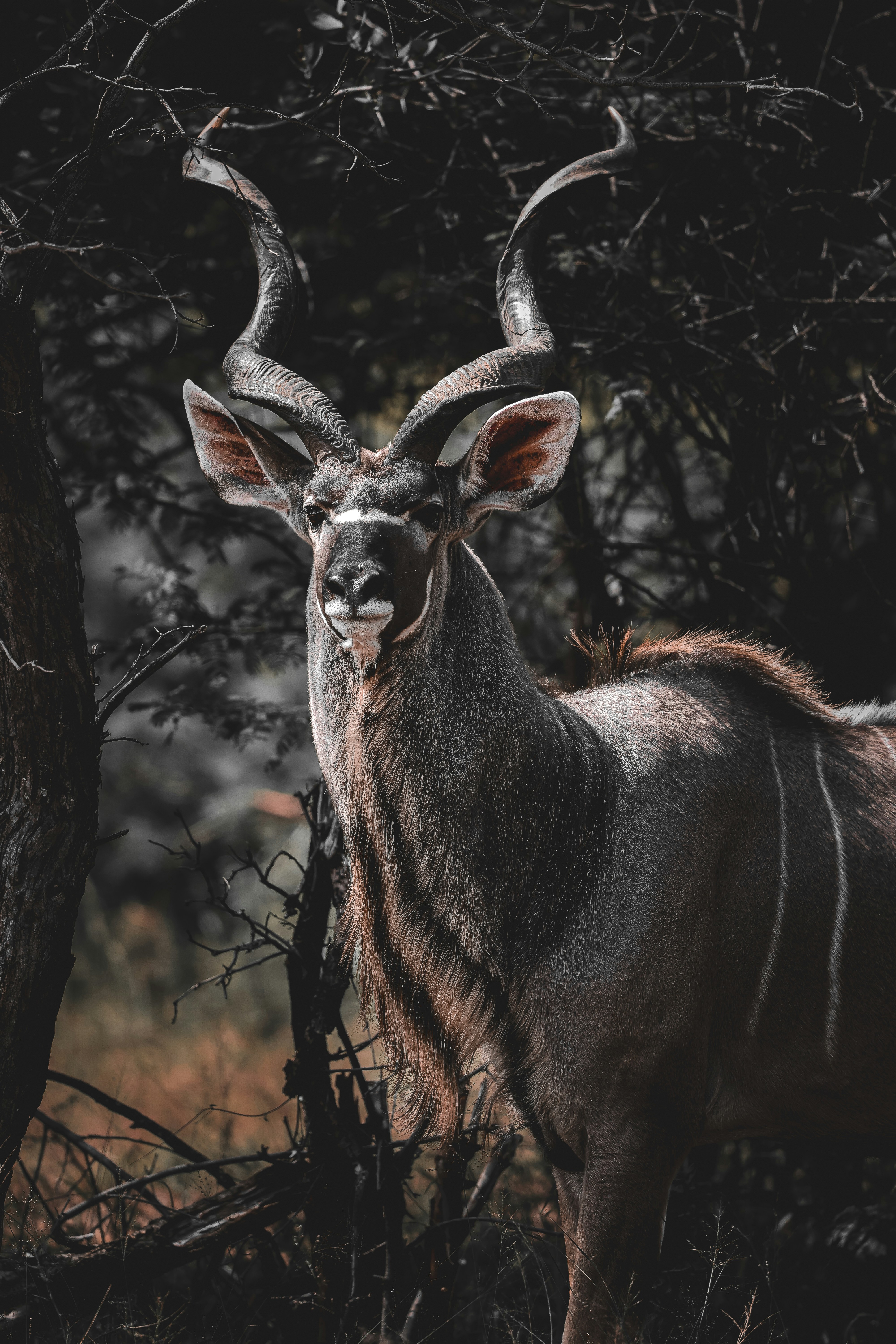 Photo by amandaswanepoel