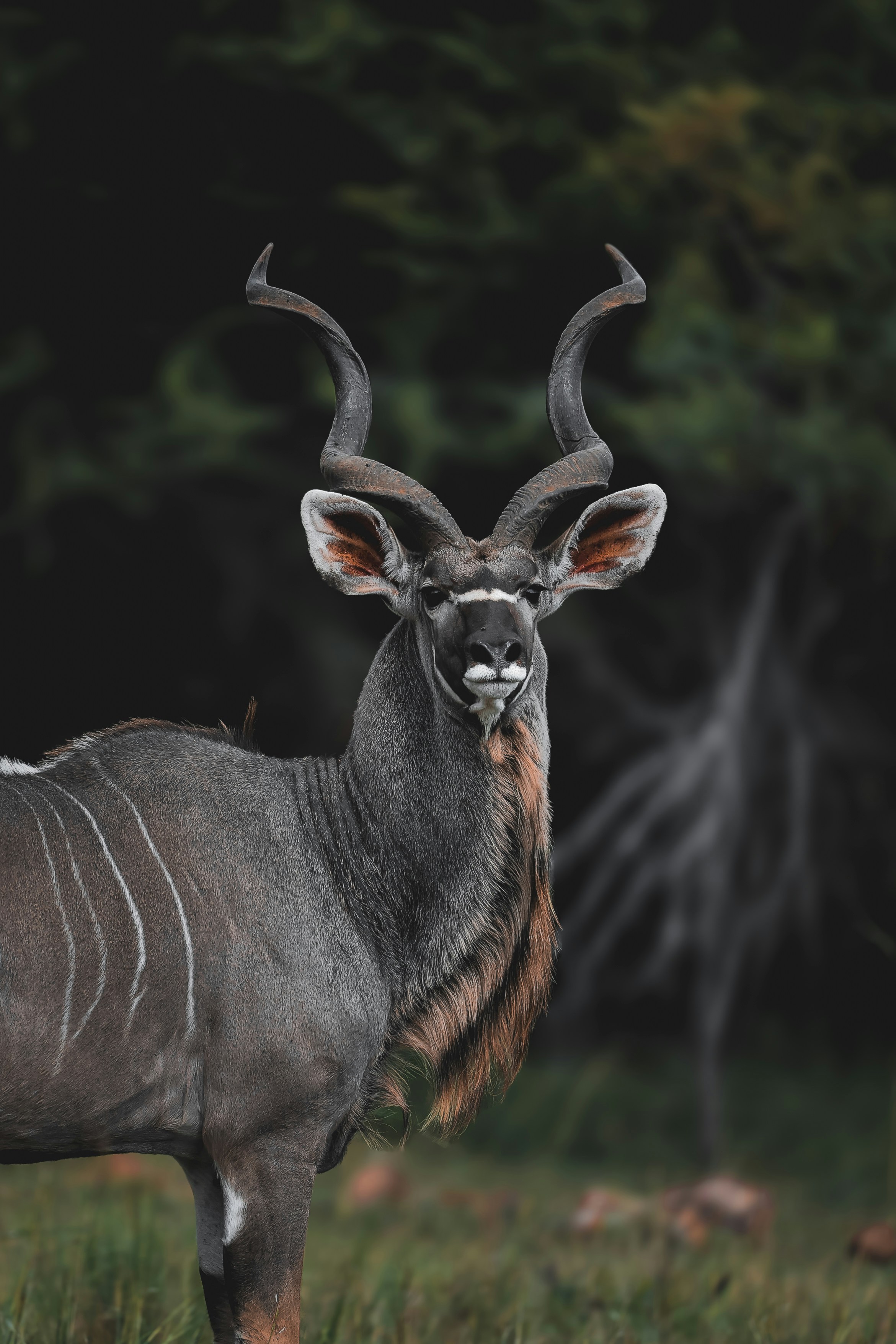 Photo by amandaswanepoel