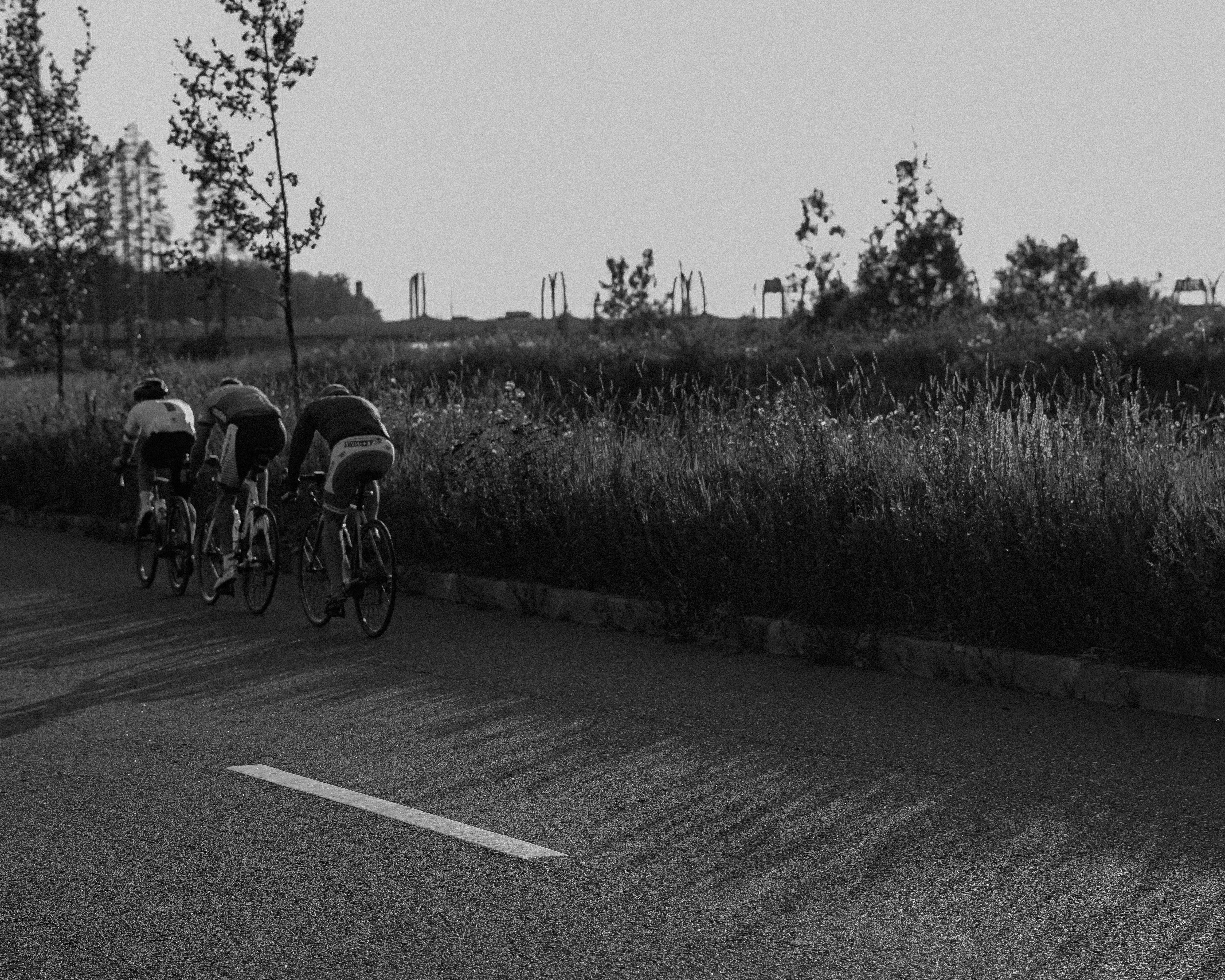 Cyclists race on a road at sunset.